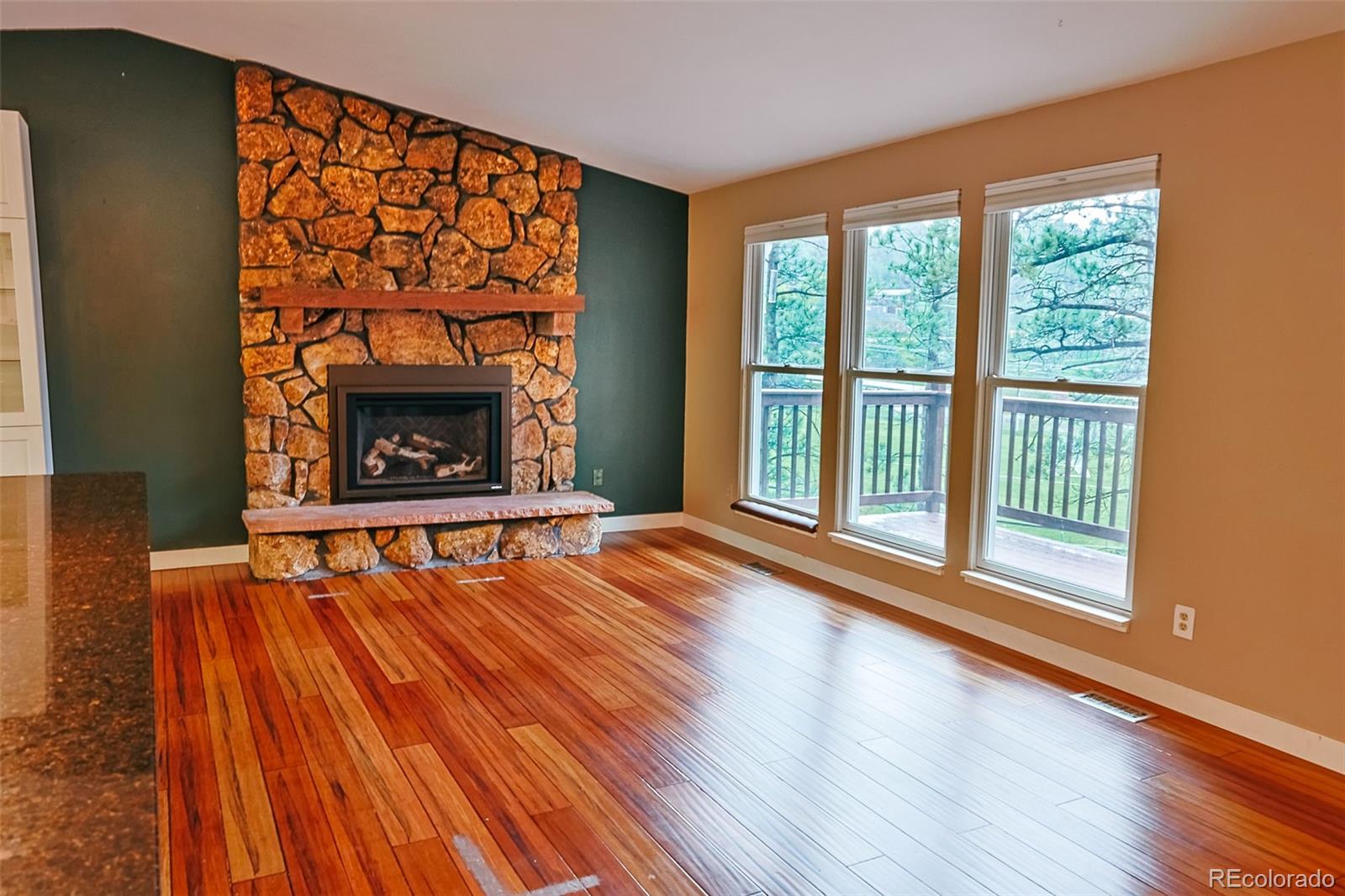 MLS Image #9 for 5237 s olive road,evergreen, Colorado