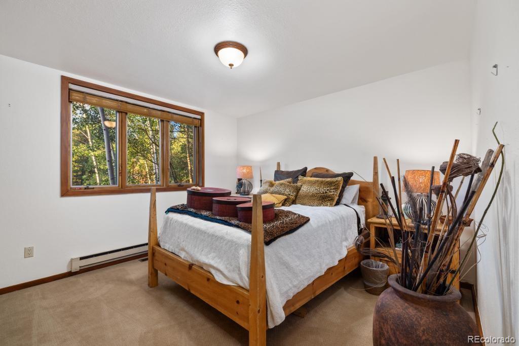 MLS Image #9 for 82  lenawee lane ,dillon, Colorado