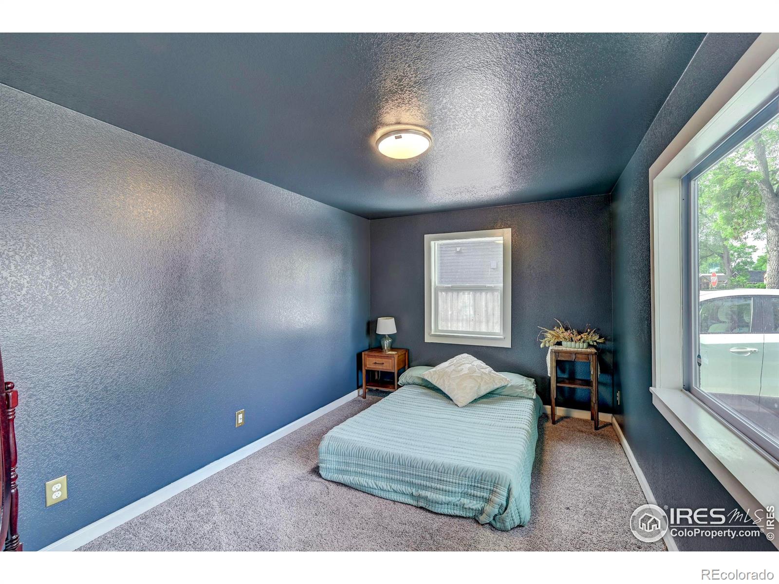 MLS Image #15 for 710 n roosevelt avenue,loveland, Colorado