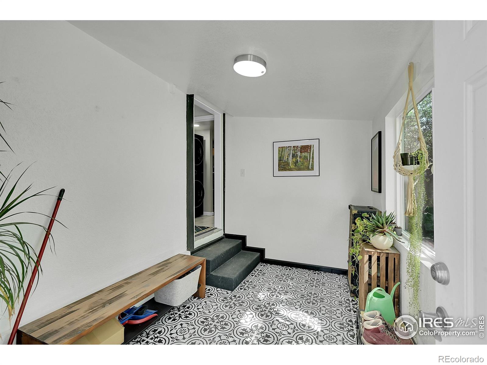 MLS Image #23 for 710 n roosevelt avenue,loveland, Colorado