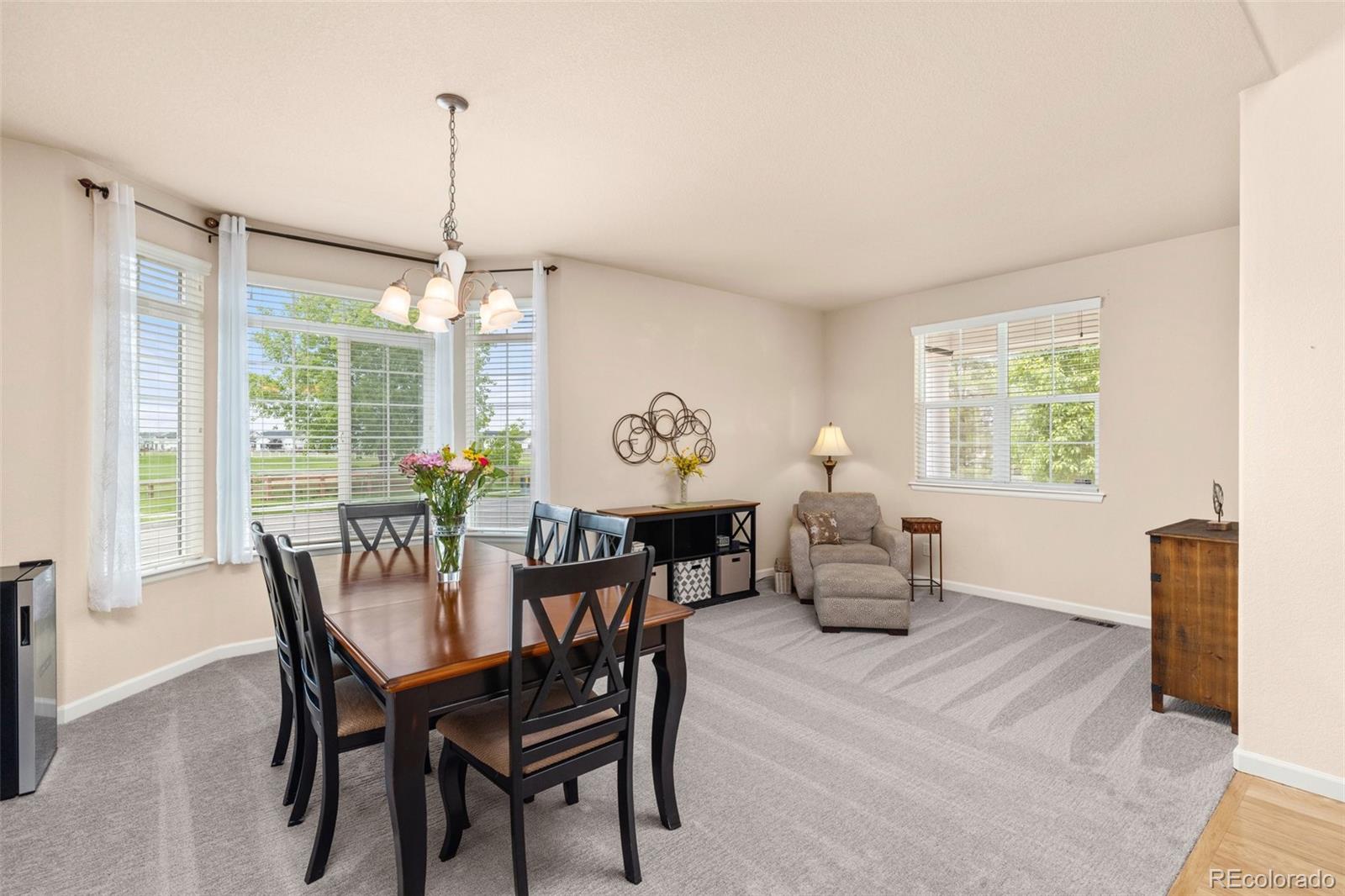 MLS Image #6 for 16120 e 119th avenue,commerce city, Colorado