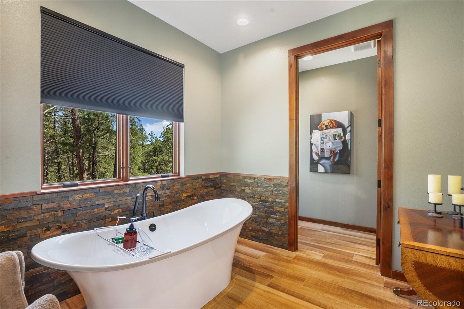 MLS Image #21 for 2754  county rd 421 ,florissant, Colorado