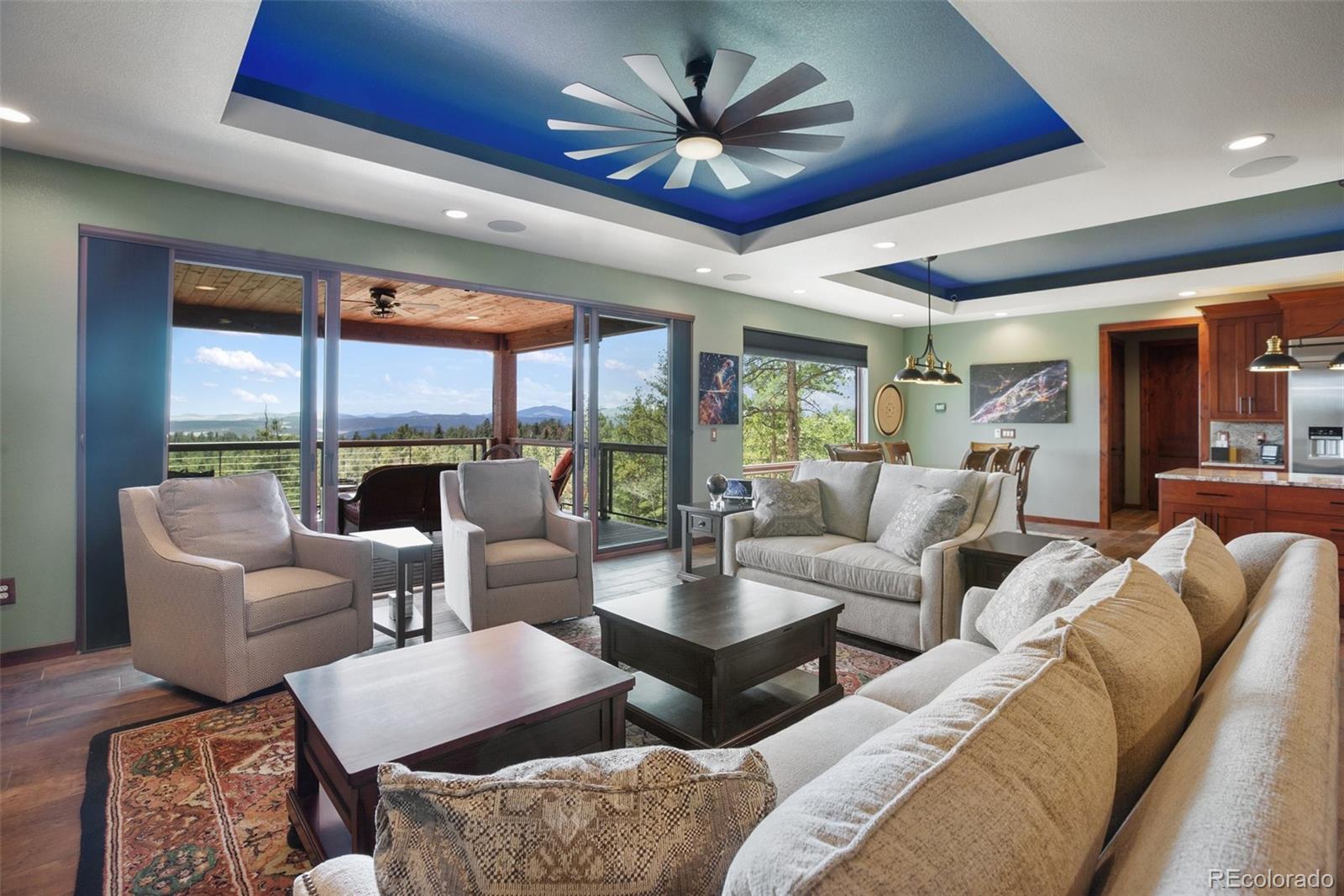 MLS Image #6 for 2754  county rd 421 ,florissant, Colorado