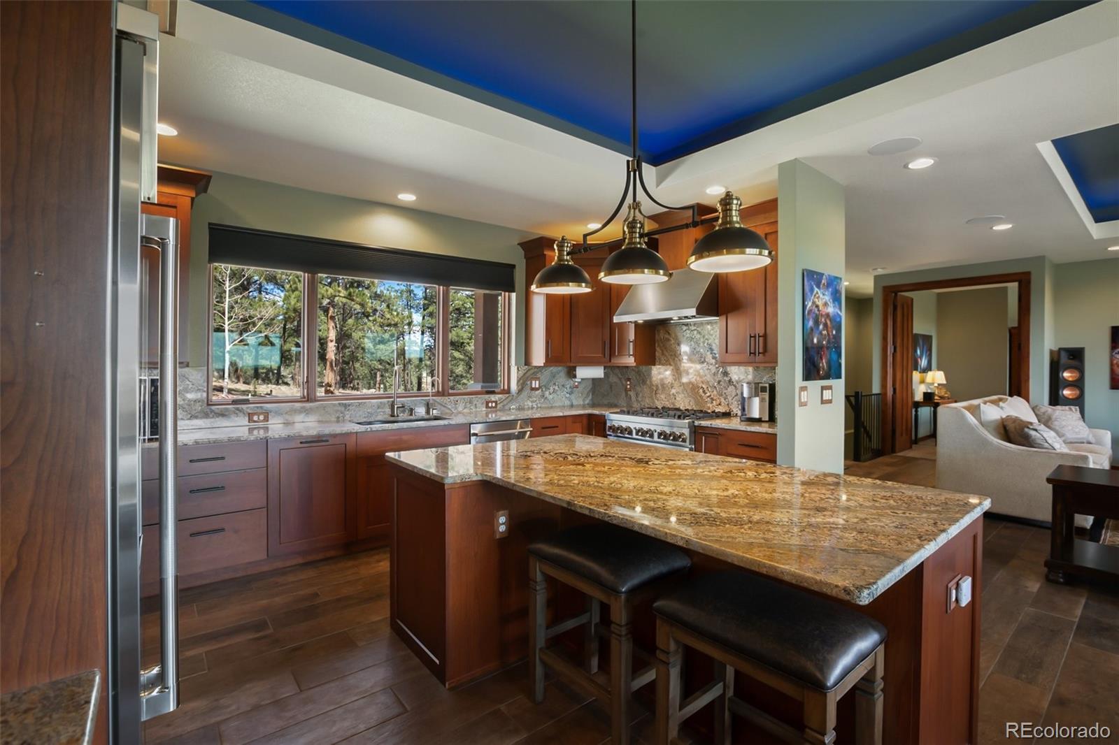 MLS Image #9 for 2754  county rd 421 ,florissant, Colorado
