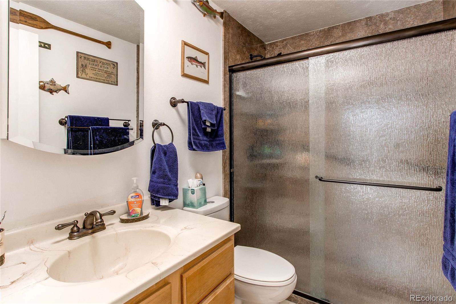 MLS Image #24 for 9310  pierce street,broomfield, Colorado