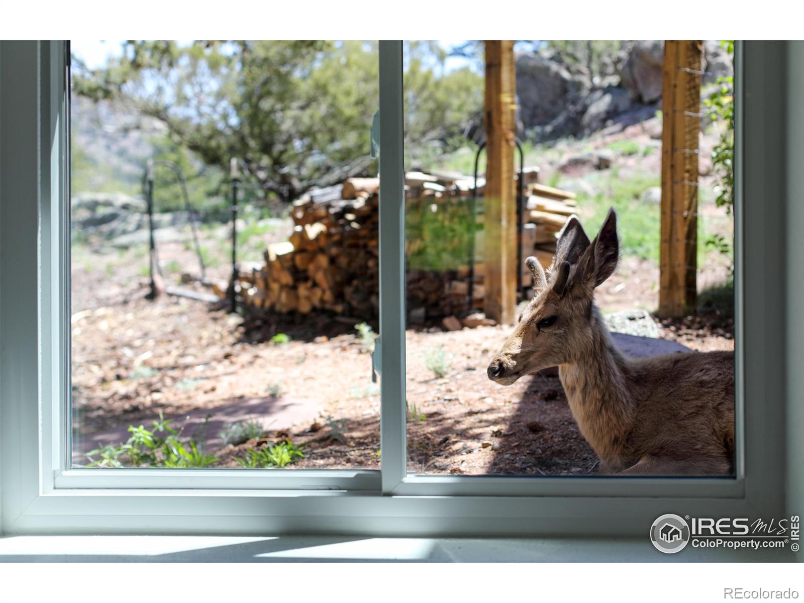 MLS Image #26 for 187  wichita road,lyons, Colorado