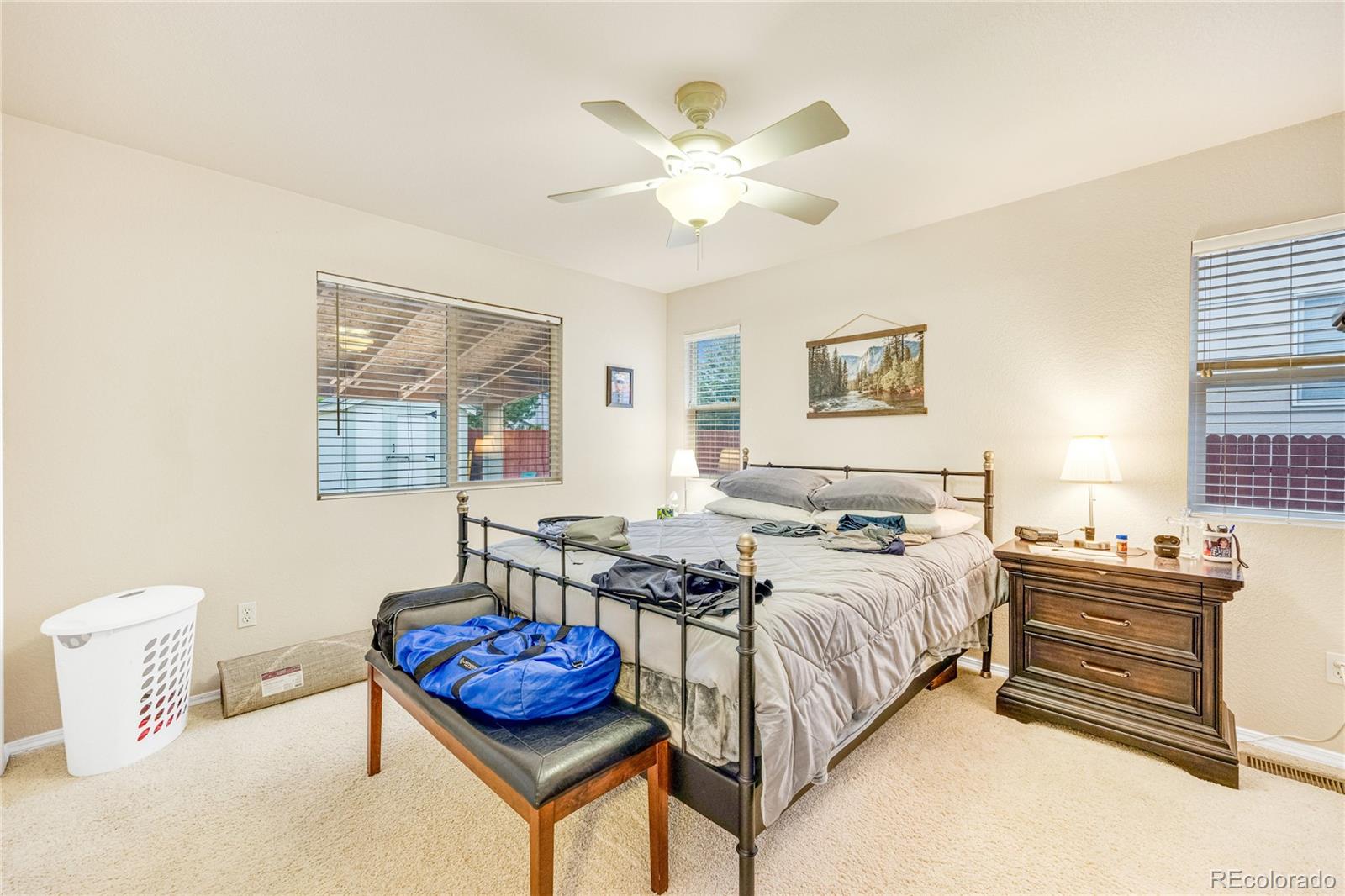MLS Image #15 for 4101  happy jack drive,colorado springs, Colorado