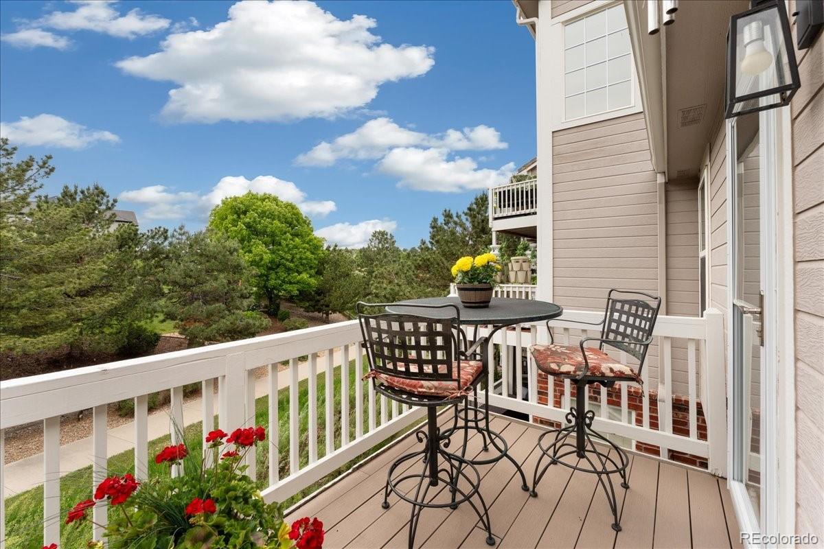 MLS Image #20 for 9441  southern hills circle,lone tree, Colorado