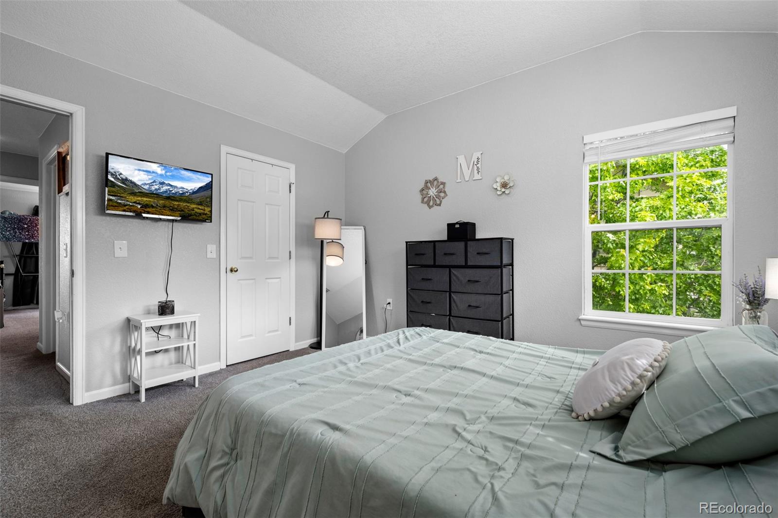 MLS Image #21 for 1464  nemrick place,castle rock, Colorado