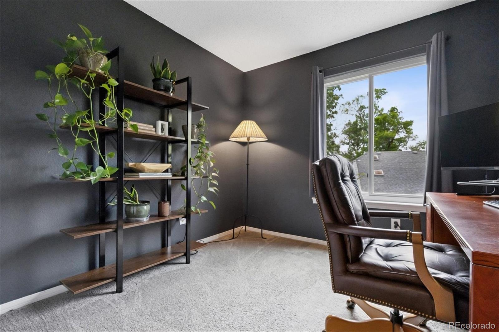 MLS Image #13 for 6342  marshall street,arvada, Colorado