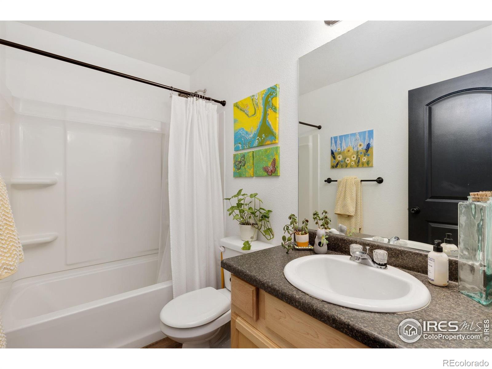 MLS Image #4 for 5869  vinca avenue,longmont, Colorado