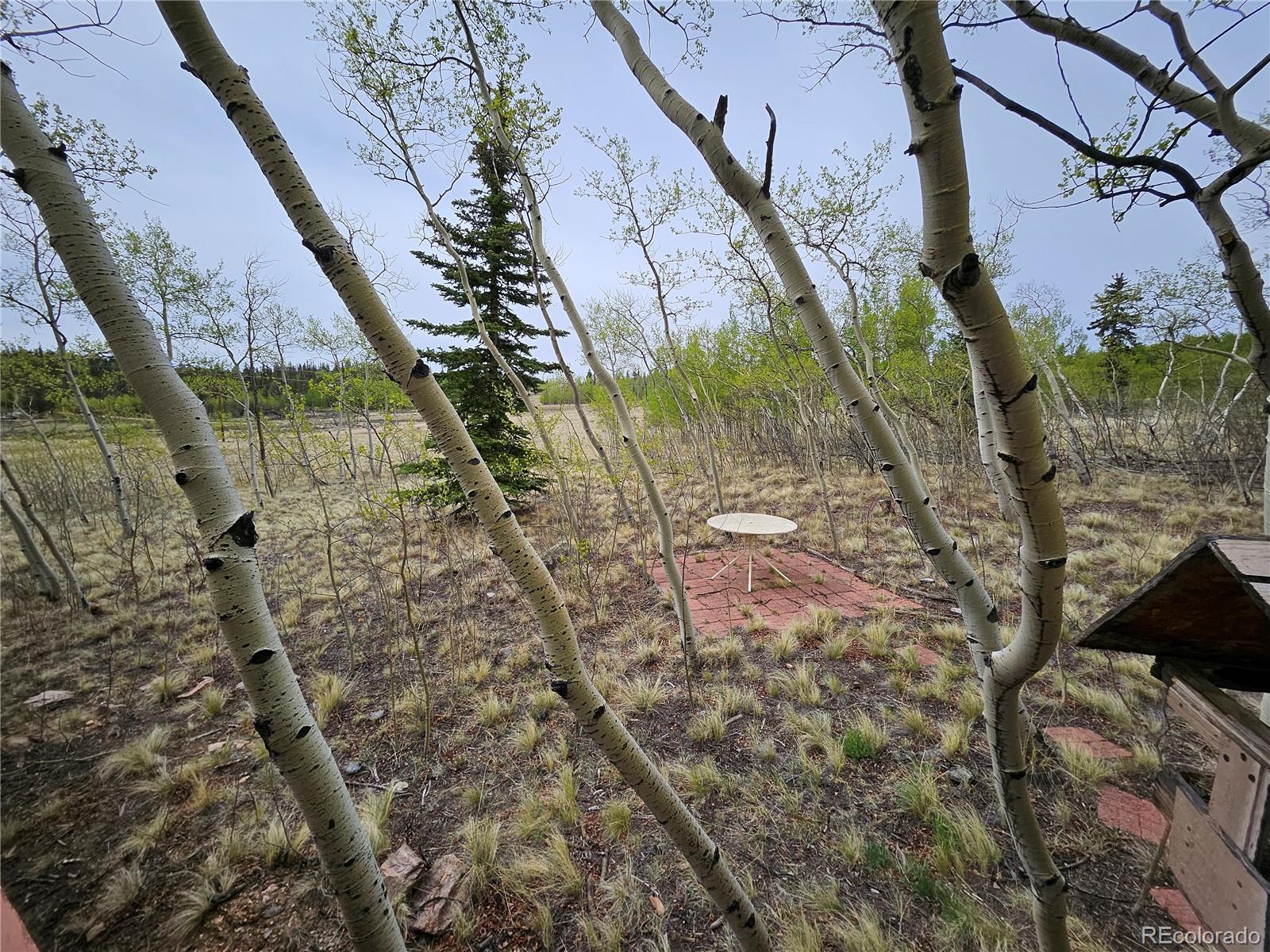 MLS Image #41 for 631  arrowhead drive,jefferson, Colorado