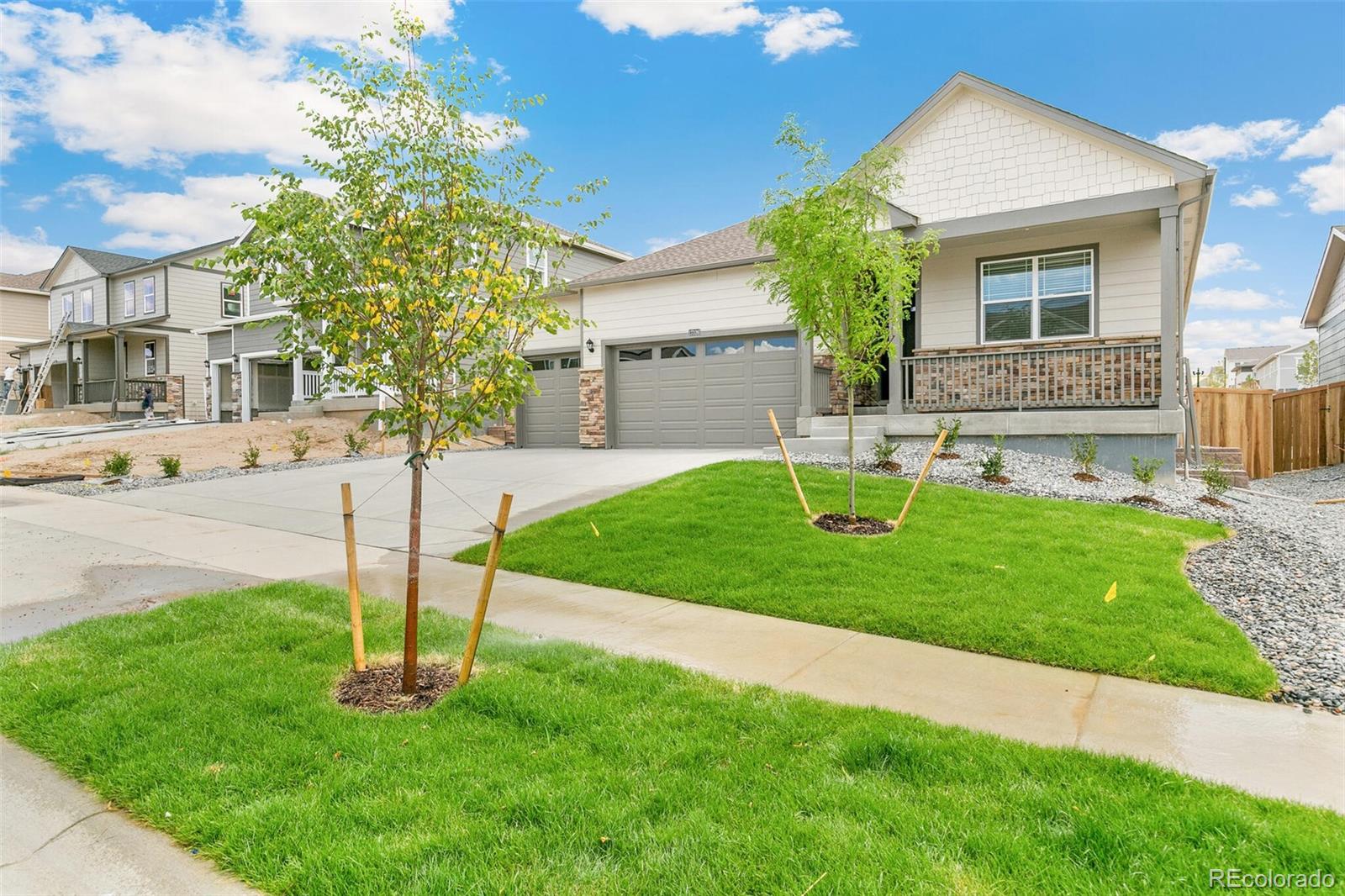 CMA Image for 14259  Beebalm Avenue,Parker, Colorado