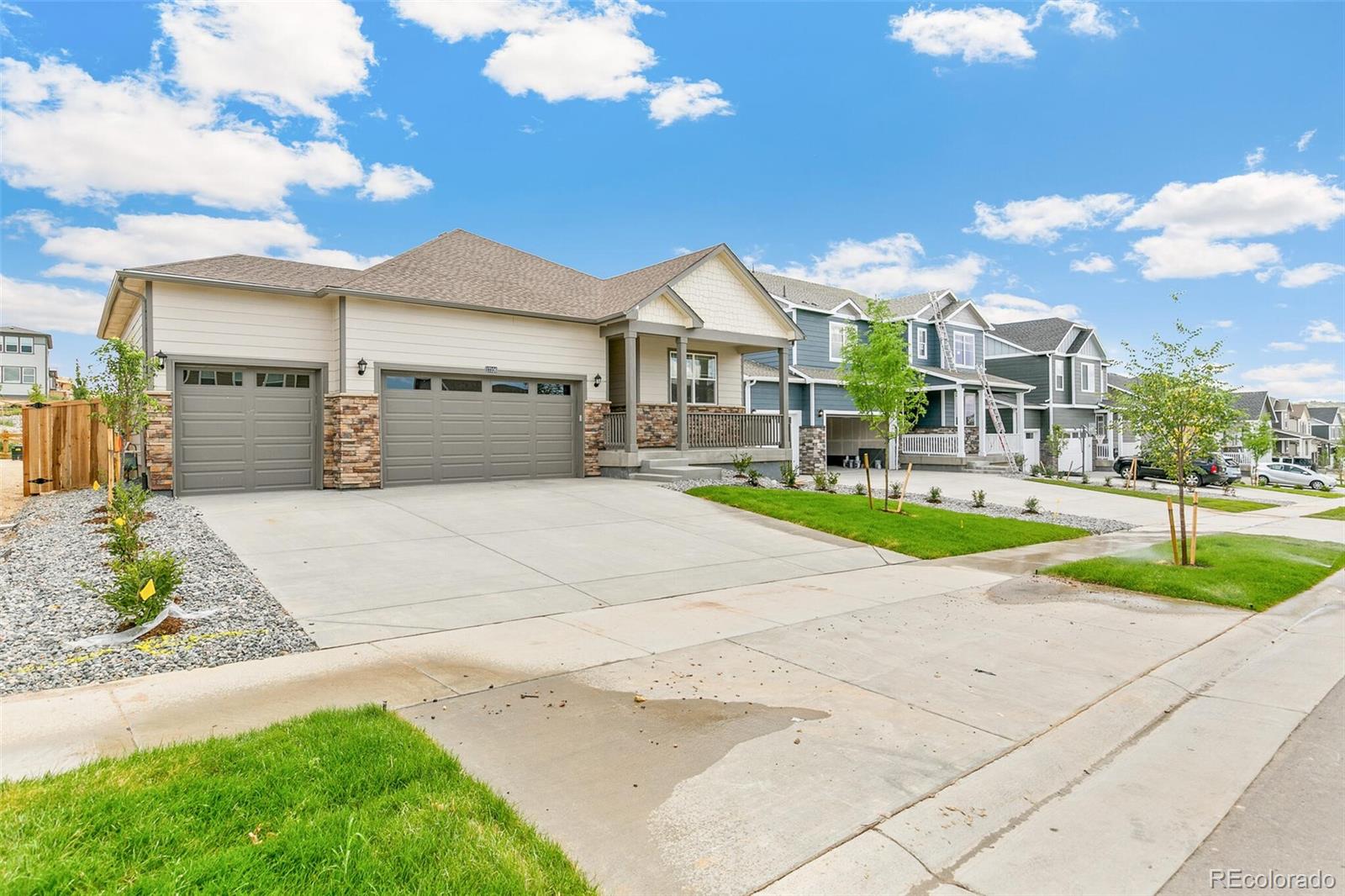 MLS Image #2 for 14259  beebalm avenue,parker, Colorado
