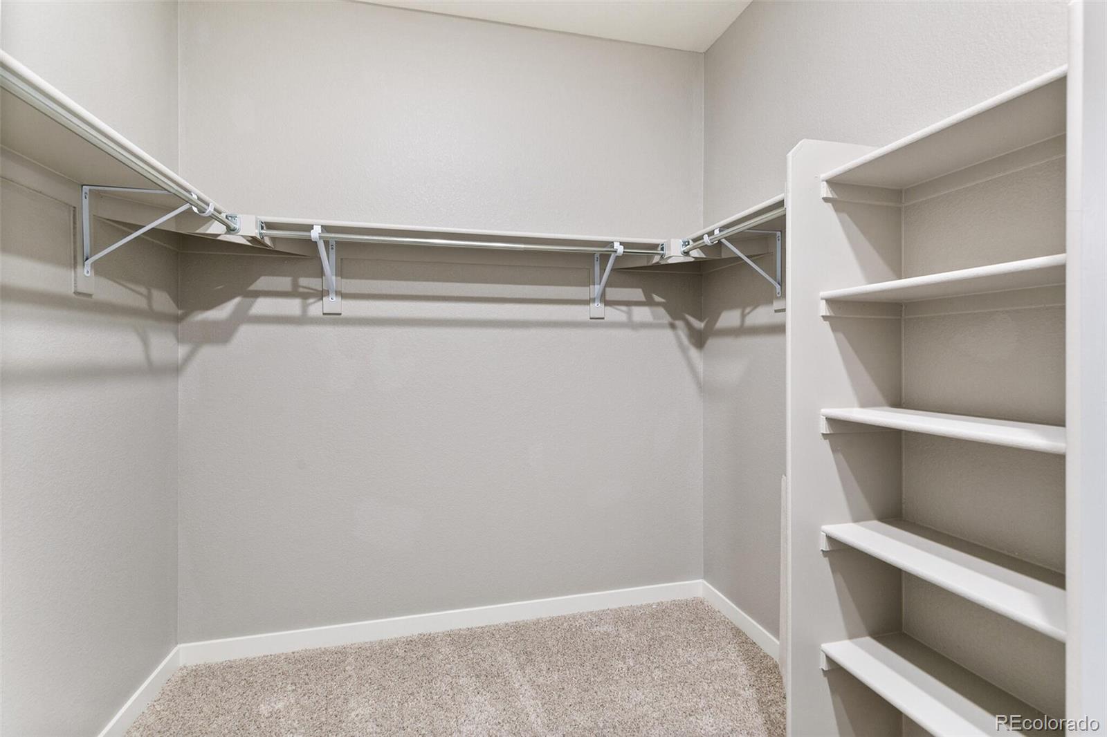 MLS Image #21 for 14259  beebalm avenue,parker, Colorado