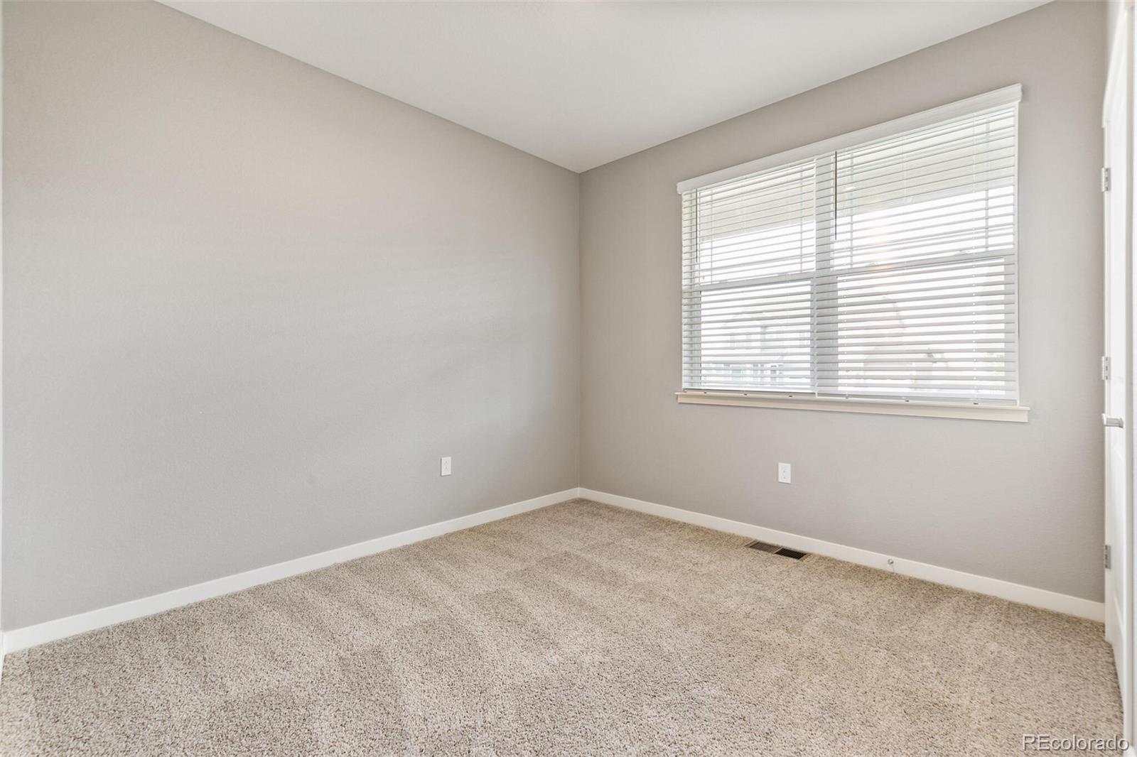 MLS Image #25 for 14259  beebalm avenue,parker, Colorado