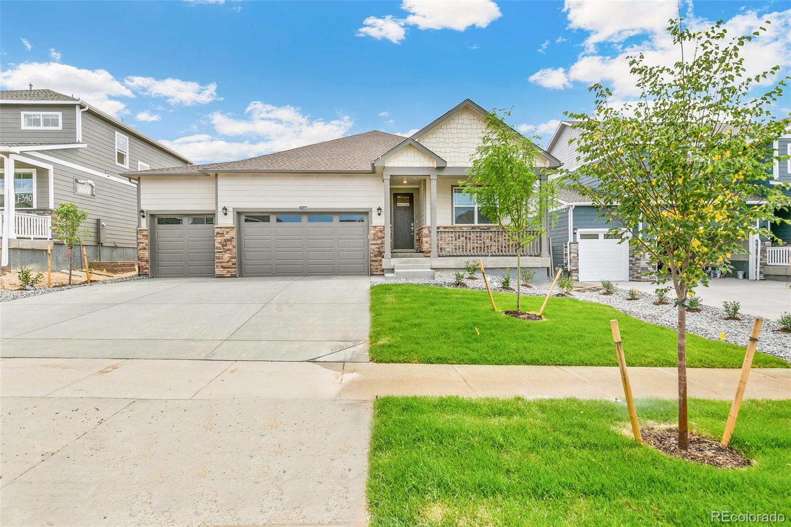MLS Image #3 for 14259  beebalm avenue,parker, Colorado