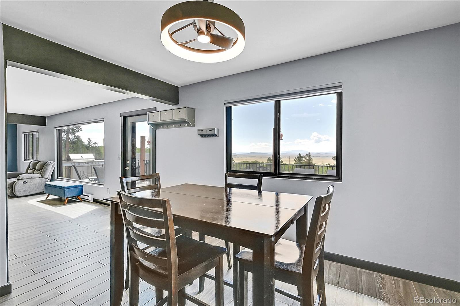 MLS Image #12 for 1424  sheep ridge road,fairplay, Colorado