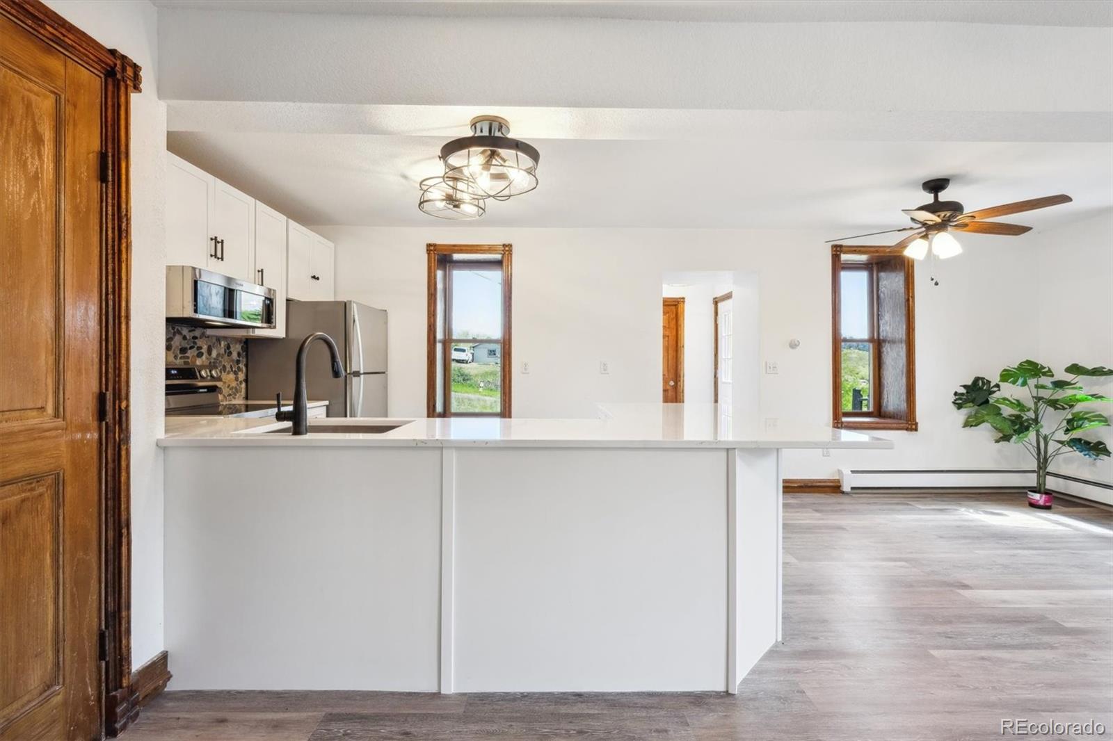 MLS Image #10 for 225  hooper street,central city, Colorado