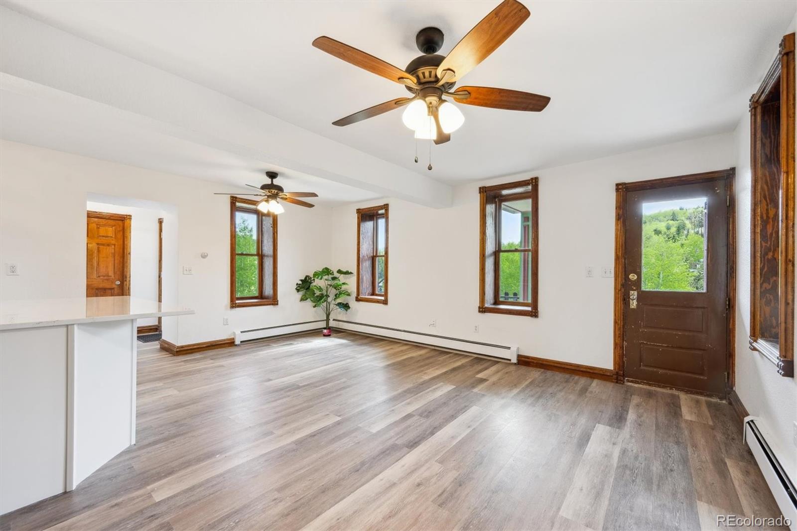MLS Image #12 for 225  hooper street,central city, Colorado