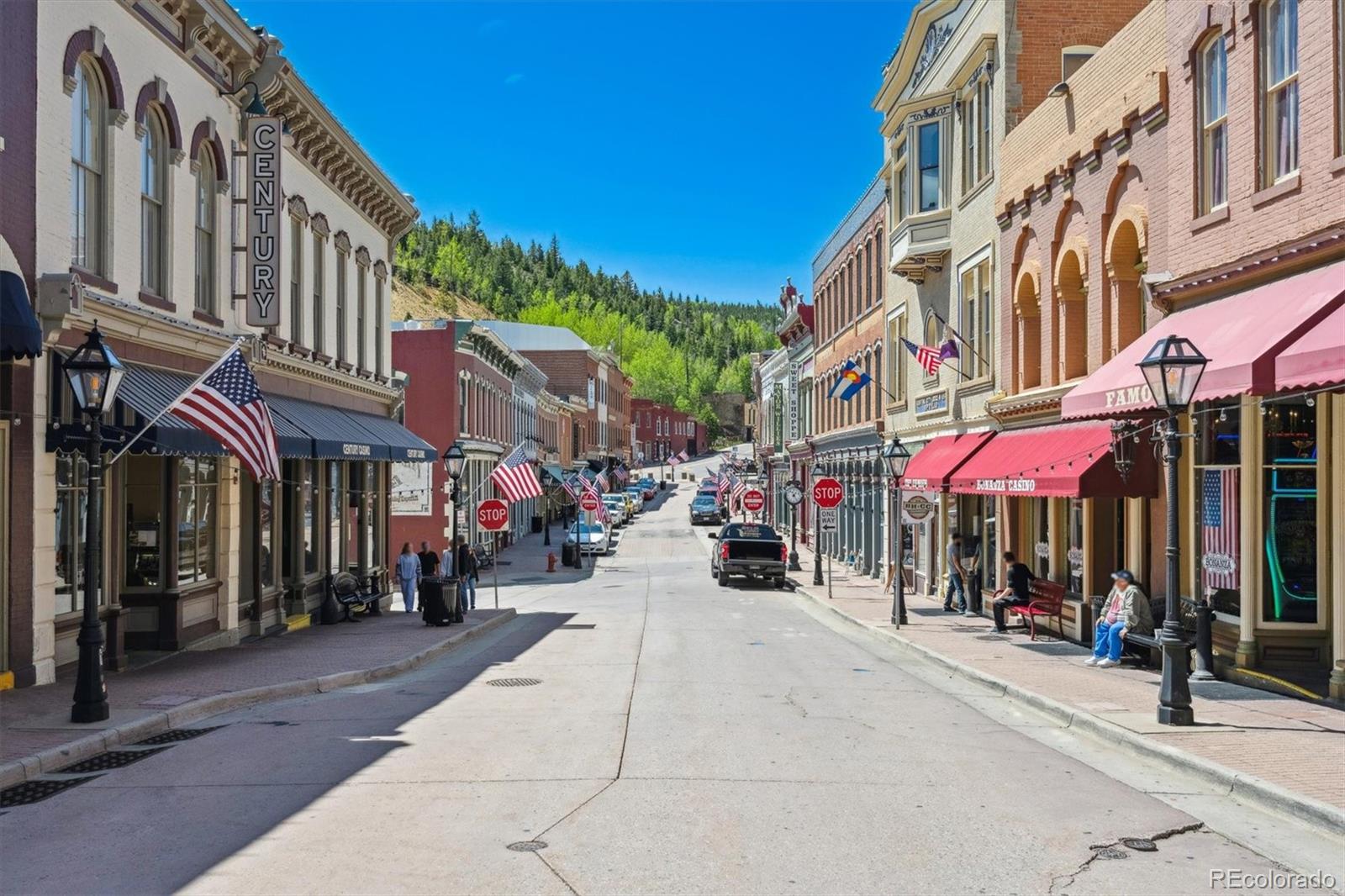 MLS Image #40 for 225  hooper street,central city, Colorado