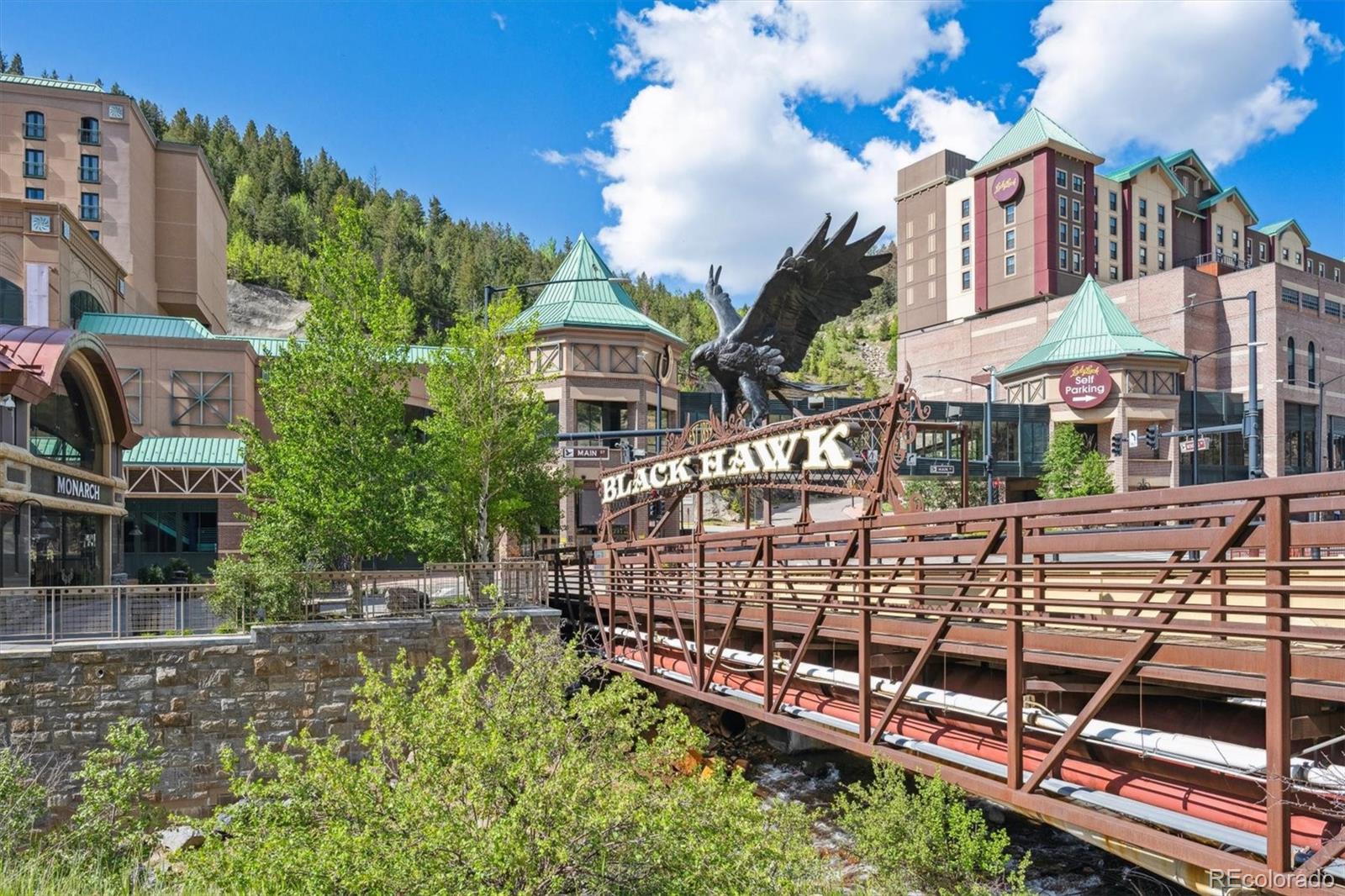 MLS Image #42 for 225  hooper street,central city, Colorado