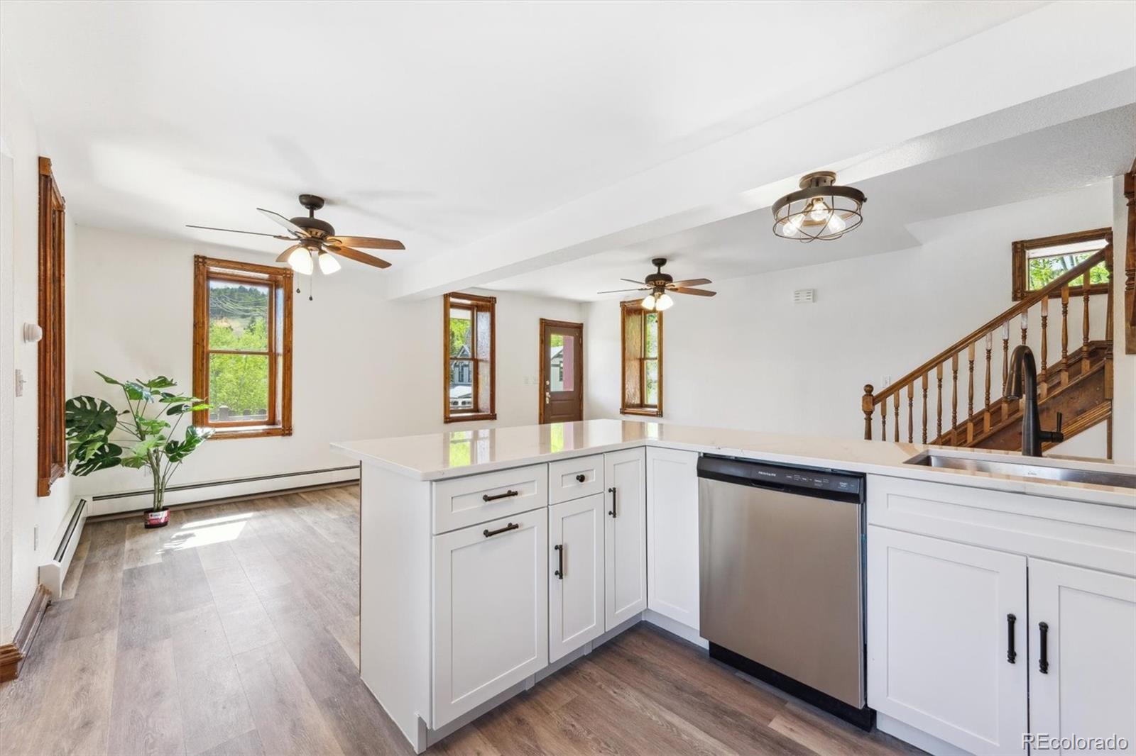 MLS Image #9 for 225  hooper street,central city, Colorado