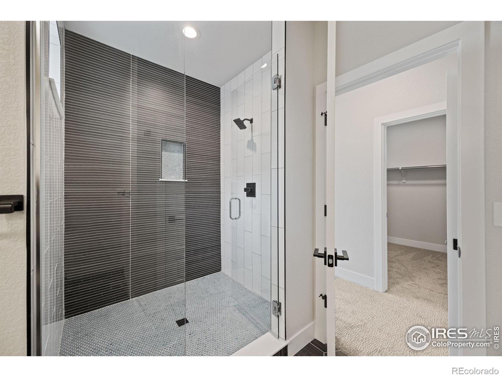 MLS Image #8 for 444  osiander street,fort collins, Colorado