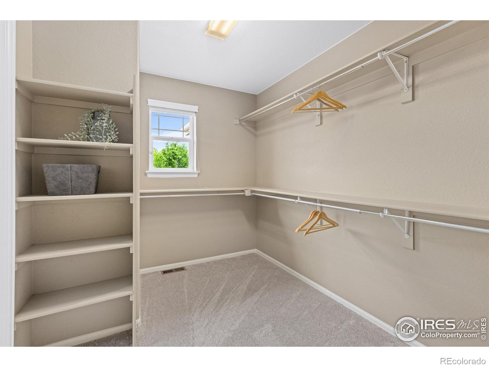 MLS Image #15 for 2211  winding drive,longmont, Colorado