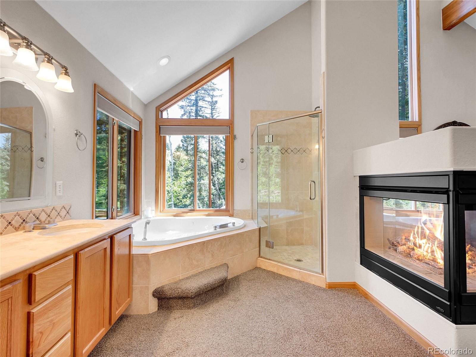 MLS Image #21 for 11768  black hawk drive,conifer, Colorado