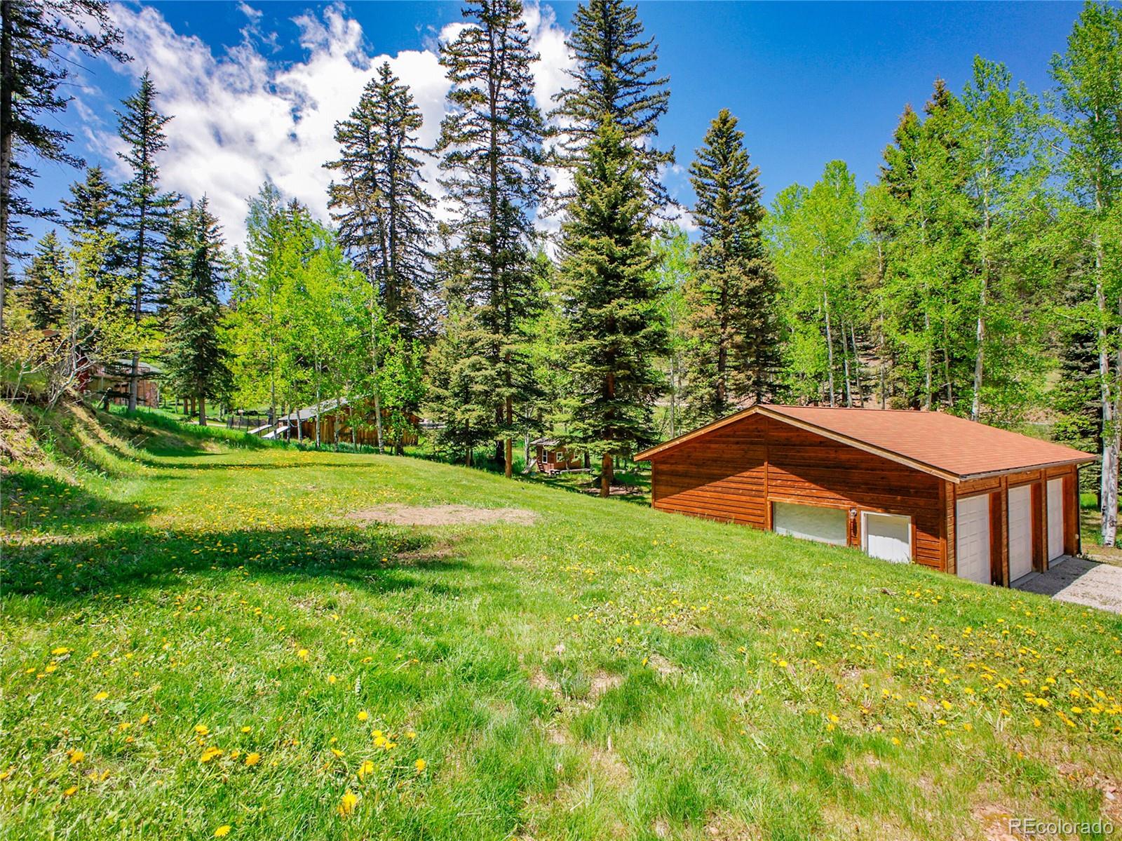 MLS Image #40 for 11768  black hawk drive,conifer, Colorado