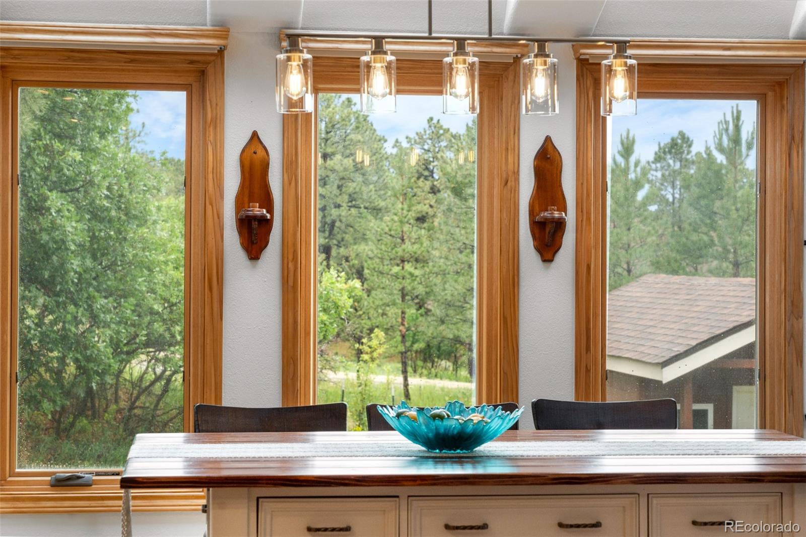 MLS Image #11 for 8662  kim court,parker, Colorado