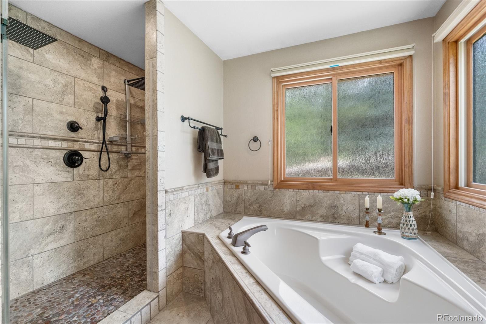 MLS Image #21 for 8662  kim court,parker, Colorado