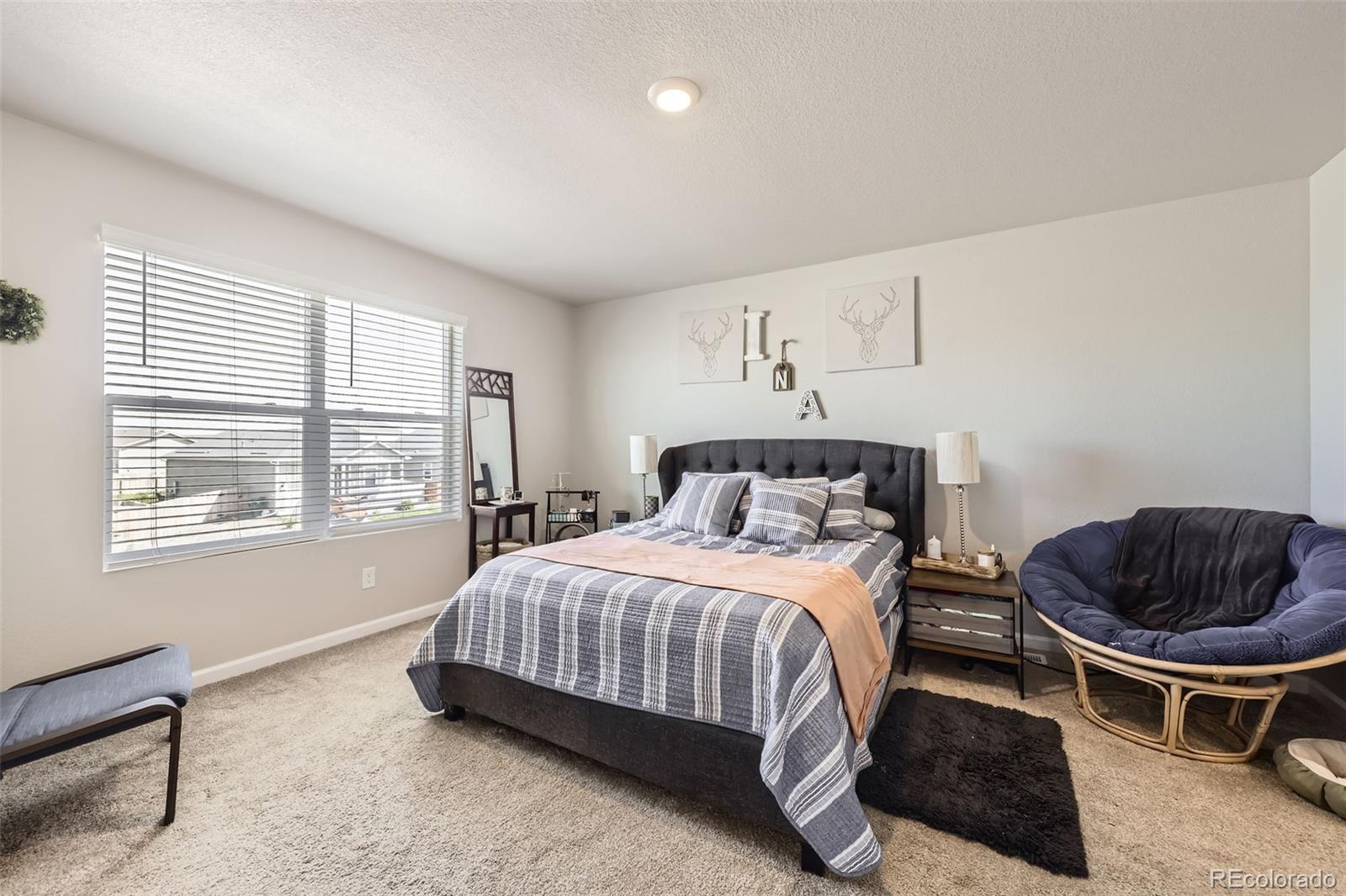 MLS Image #9 for 1063  gianna avenue,fort lupton, Colorado