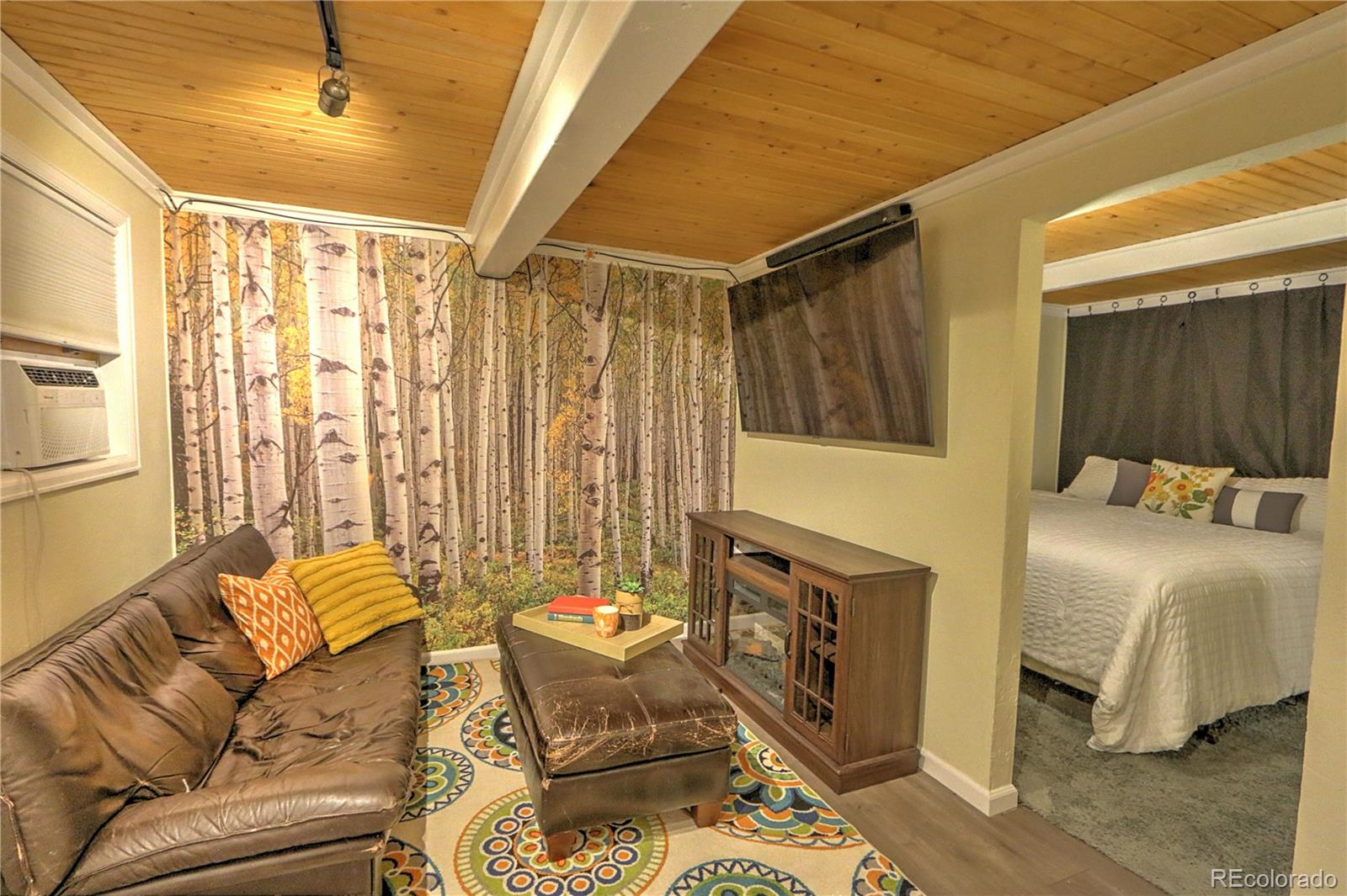 MLS Image #3 for 11101  county road 117 ,glenwood springs, Colorado
