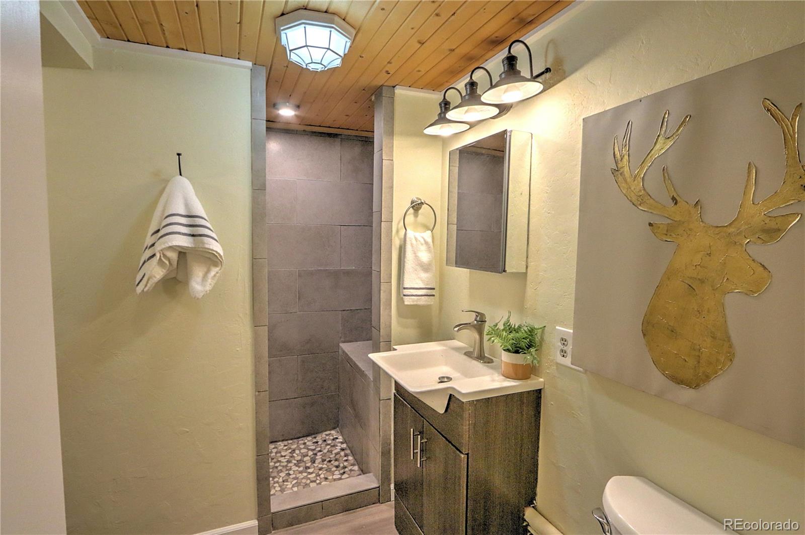MLS Image #7 for 11101  county road 117 ,glenwood springs, Colorado