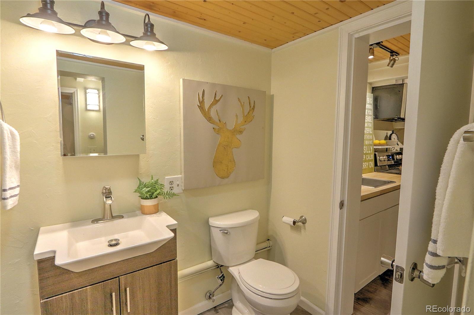 MLS Image #8 for 11101  county road 117 ,glenwood springs, Colorado