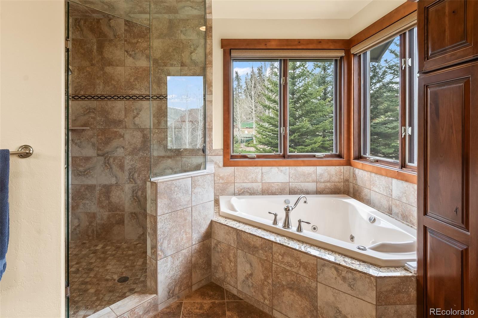 MLS Image #30 for 56  canyon view court,dillon, Colorado