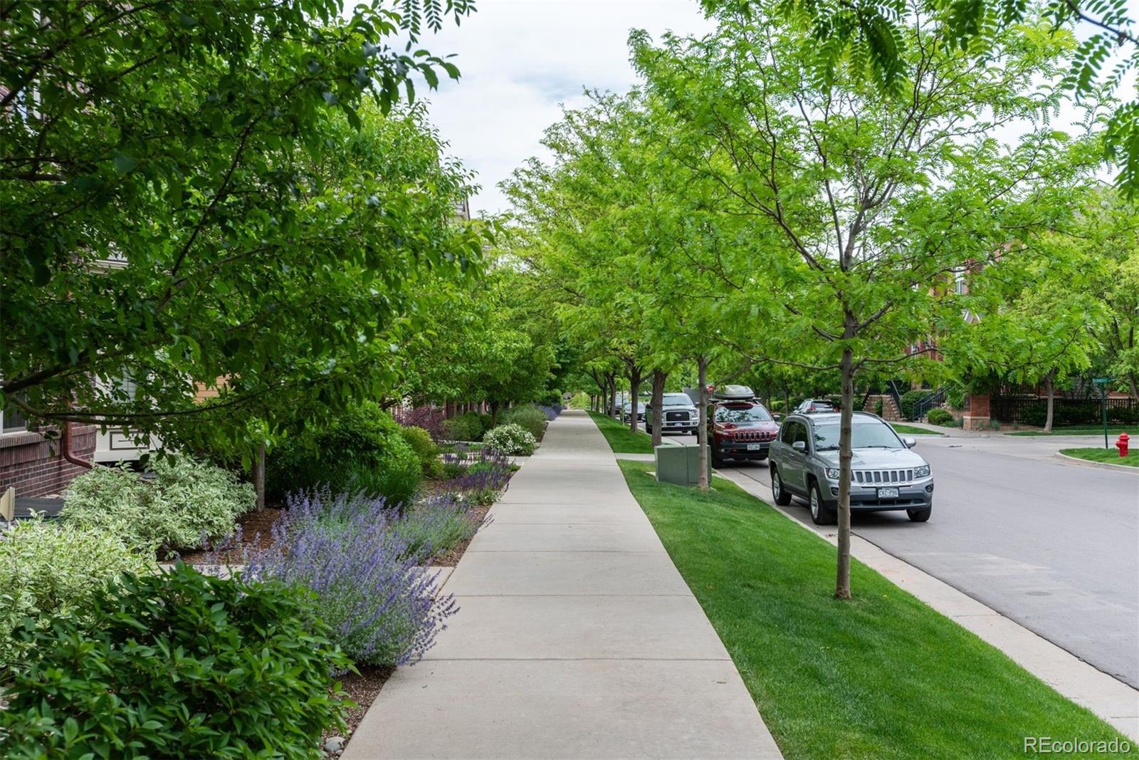 MLS Image #33 for 9165  kornbrust drive,lone tree, Colorado