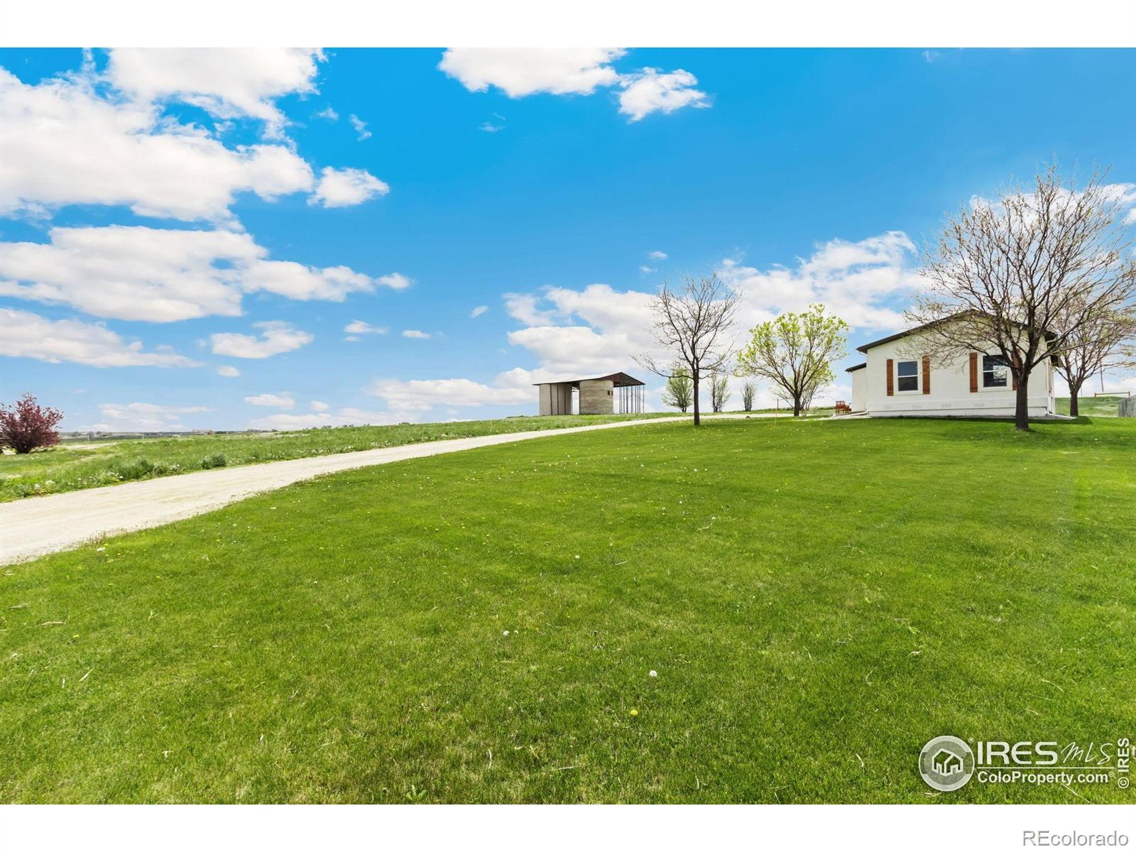 MLS Image #4 for 19810  county road 1 ,berthoud, Colorado