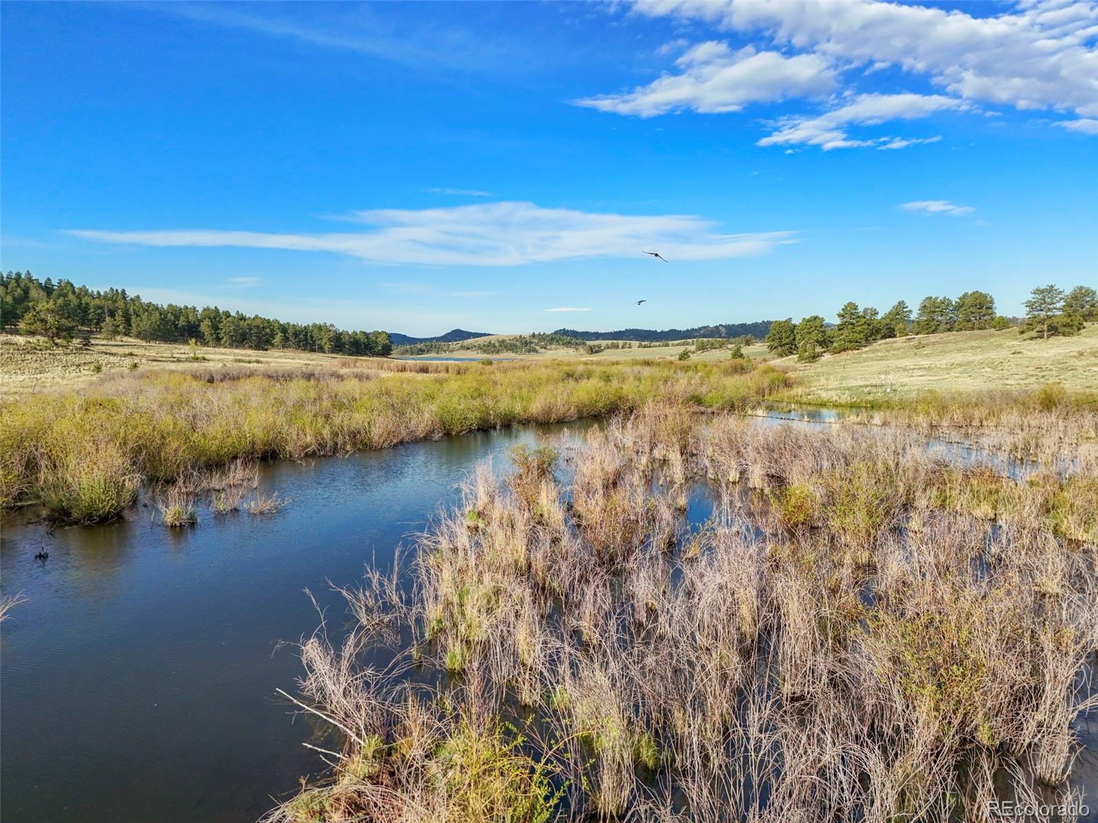 MLS Image #38 for 224  lakeview forest heights,florissant, Colorado