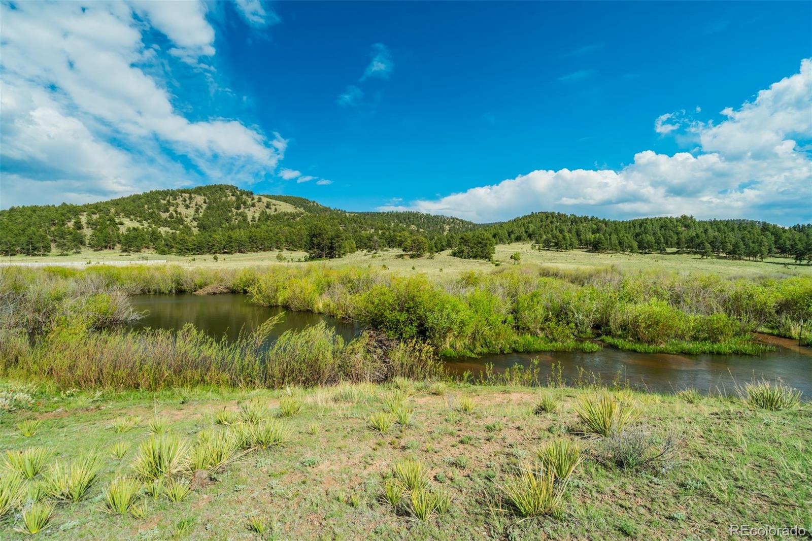 MLS Image #42 for 224  lakeview forest heights,florissant, Colorado