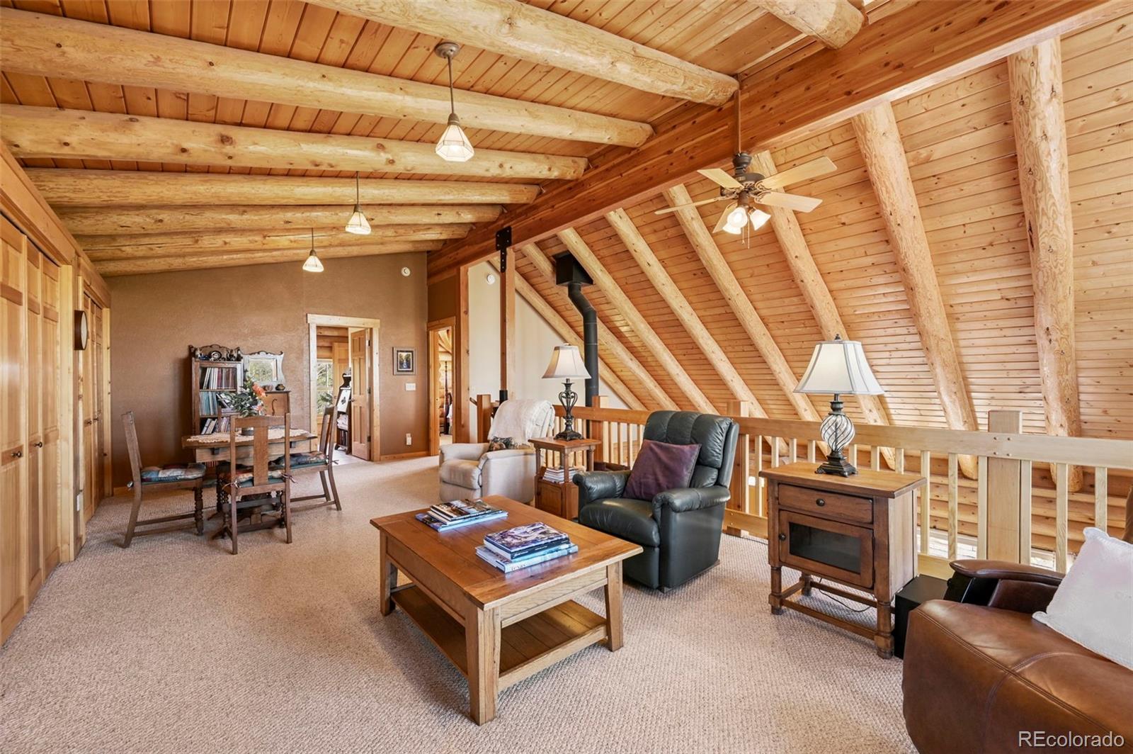 MLS Image #20 for 11690  rampart range road,woodland park, Colorado