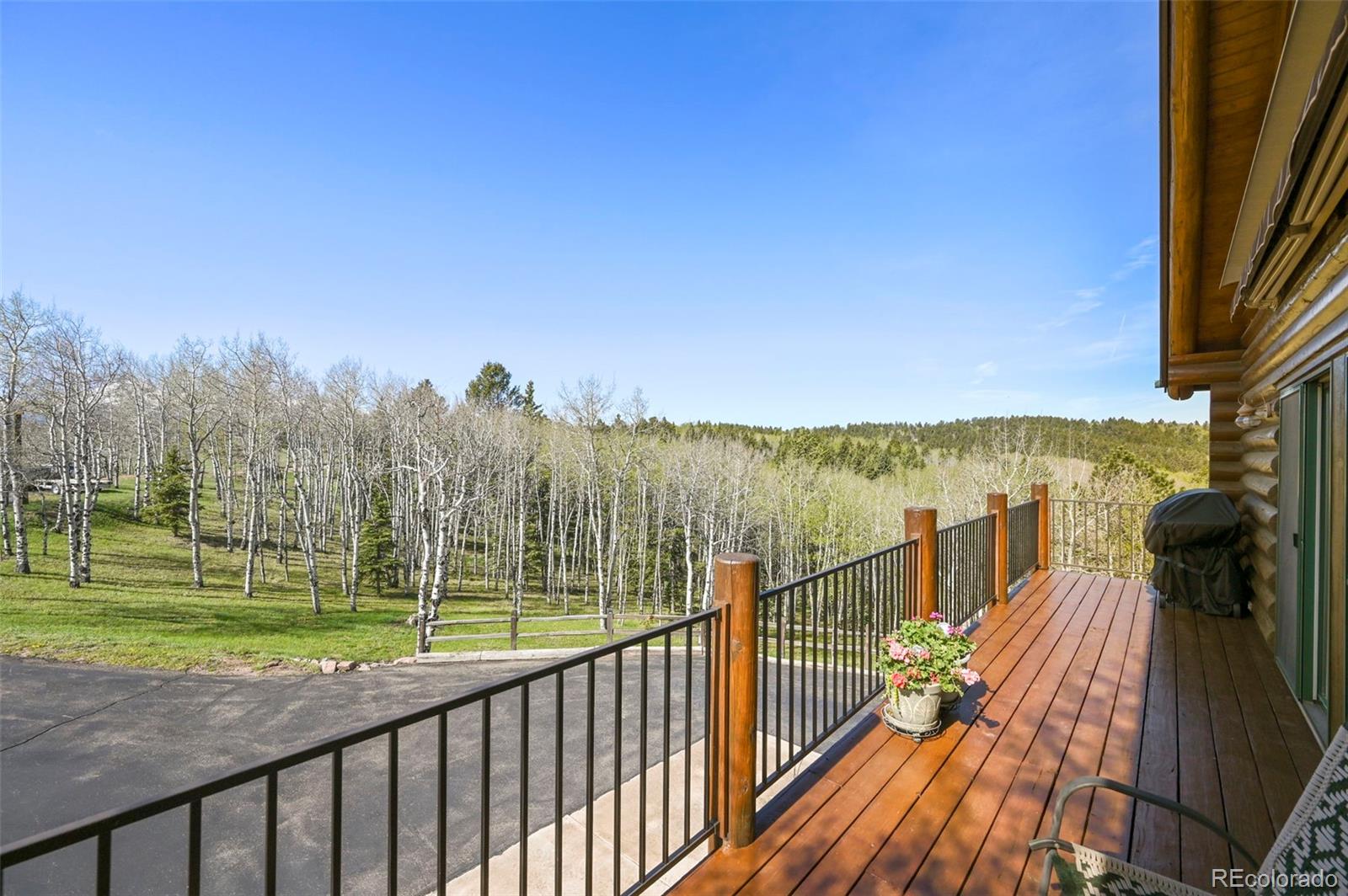 MLS Image #8 for 11690  rampart range road,woodland park, Colorado