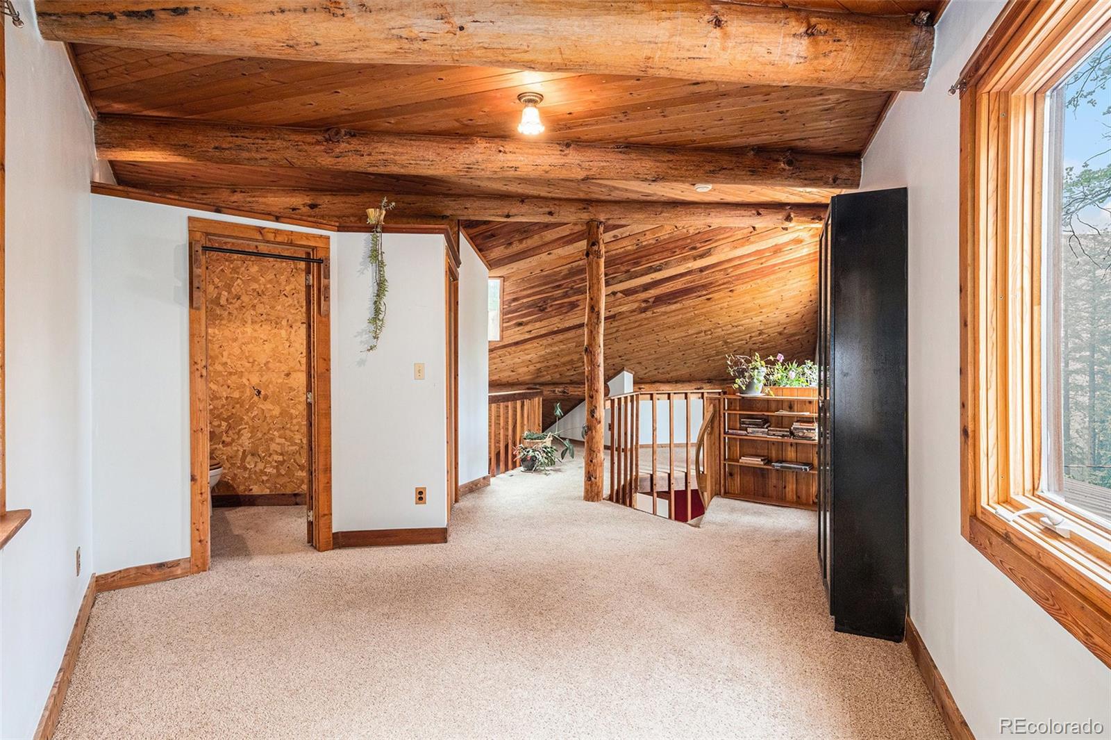 MLS Image #15 for 10419  christopher drive,conifer, Colorado