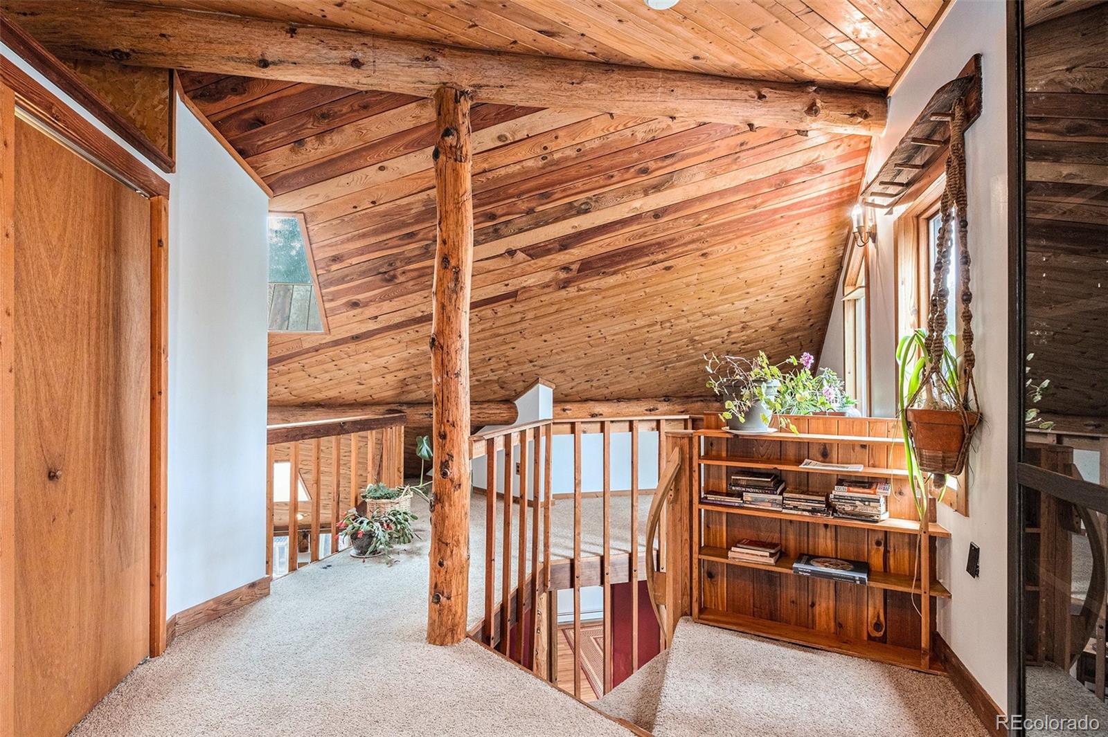 MLS Image #16 for 10419  christopher drive,conifer, Colorado