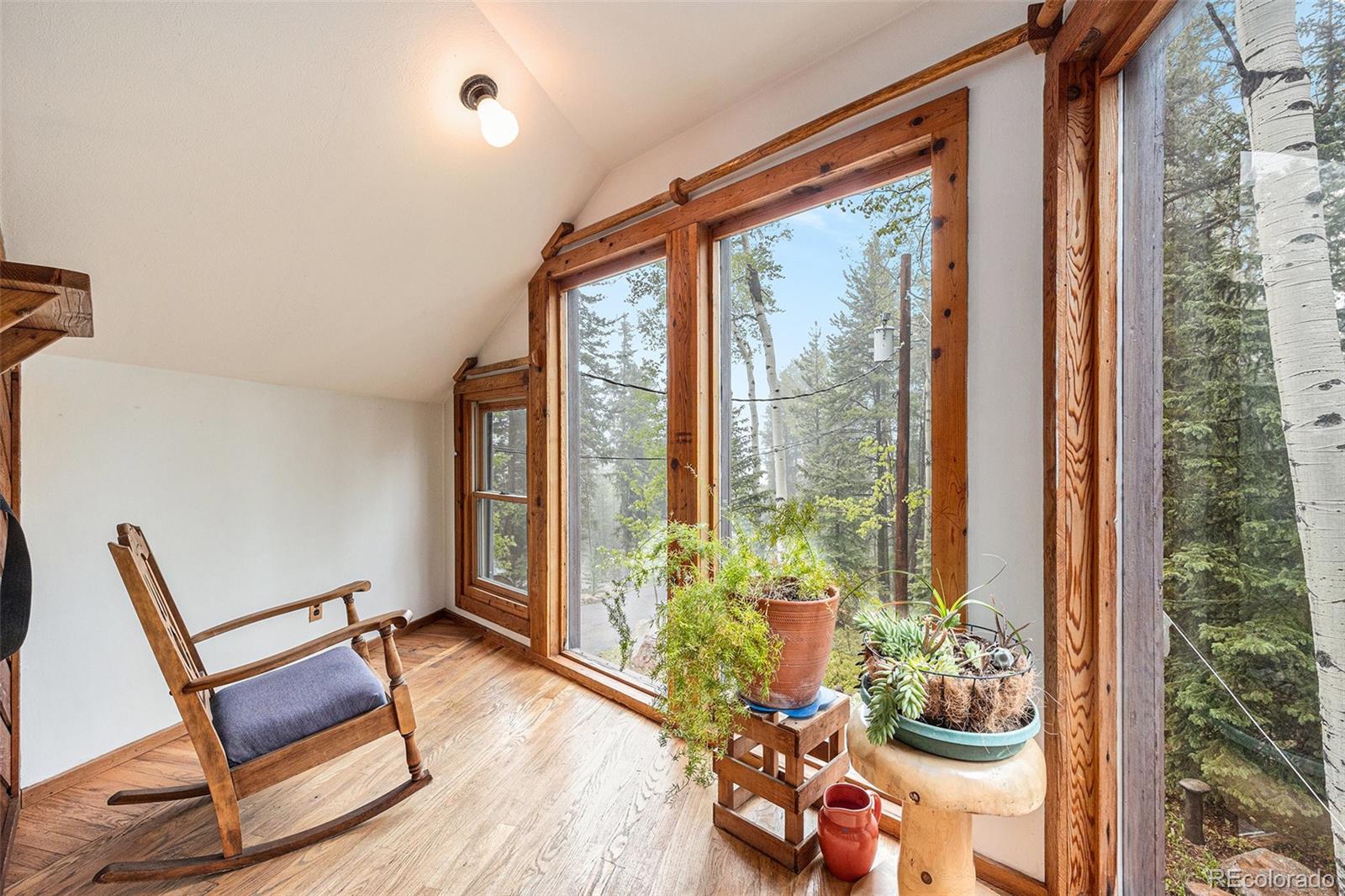 MLS Image #18 for 10419  christopher drive,conifer, Colorado