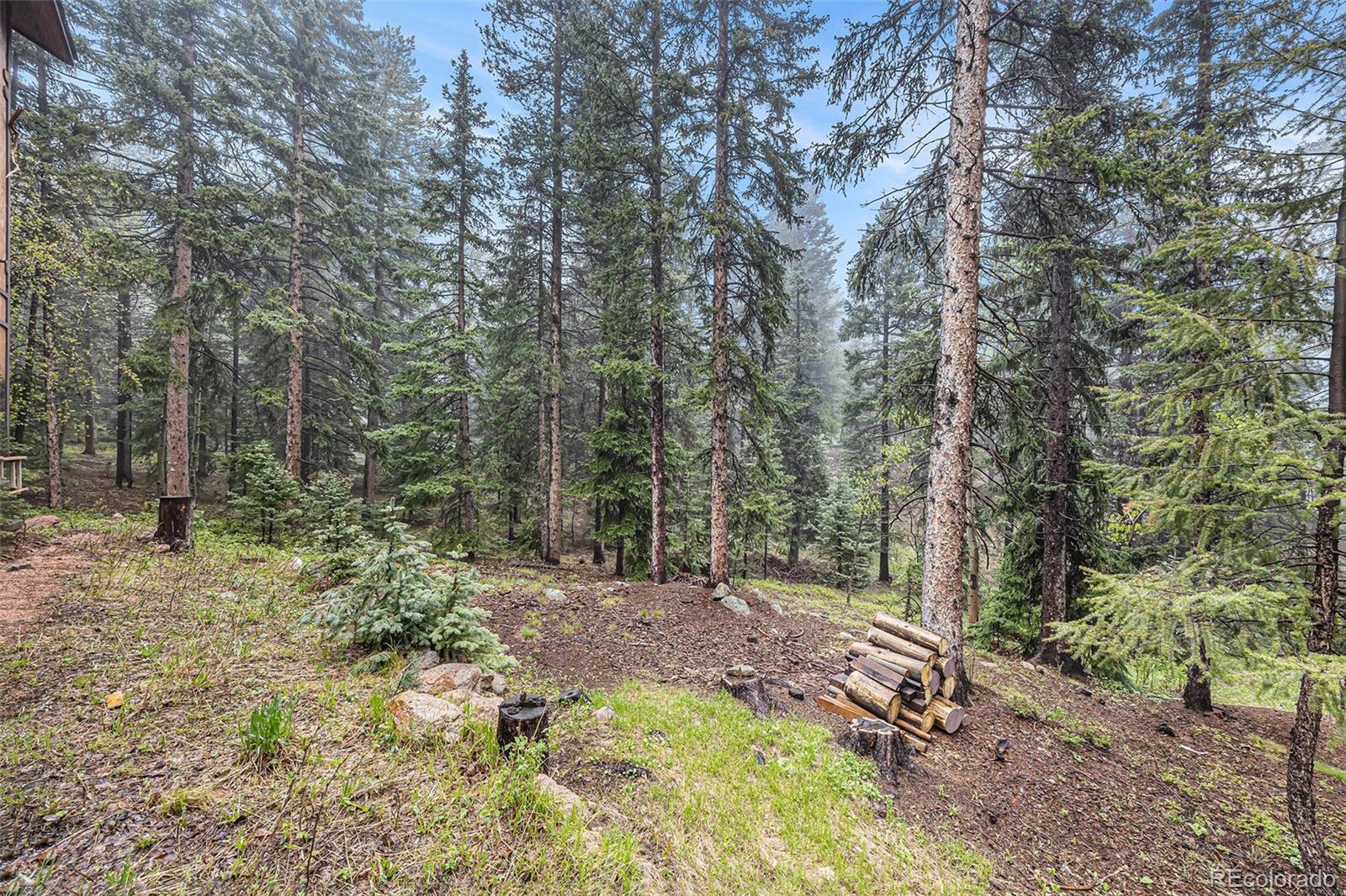 MLS Image #36 for 10419  christopher drive,conifer, Colorado