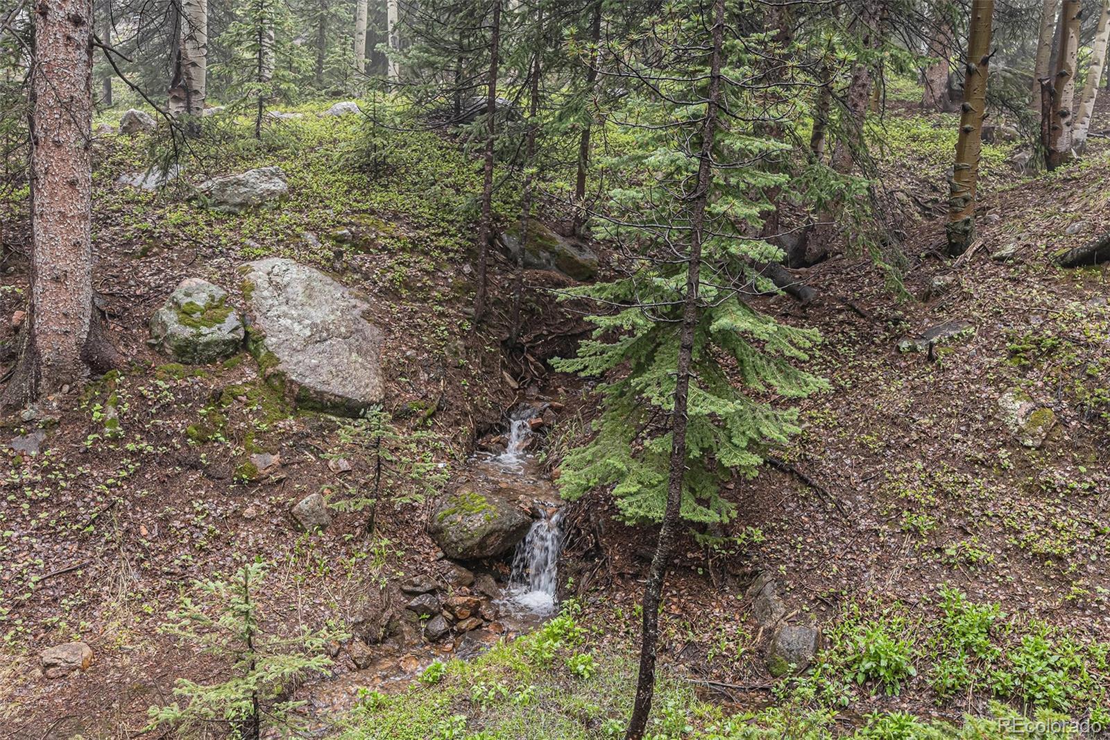 MLS Image #39 for 10419  christopher drive,conifer, Colorado