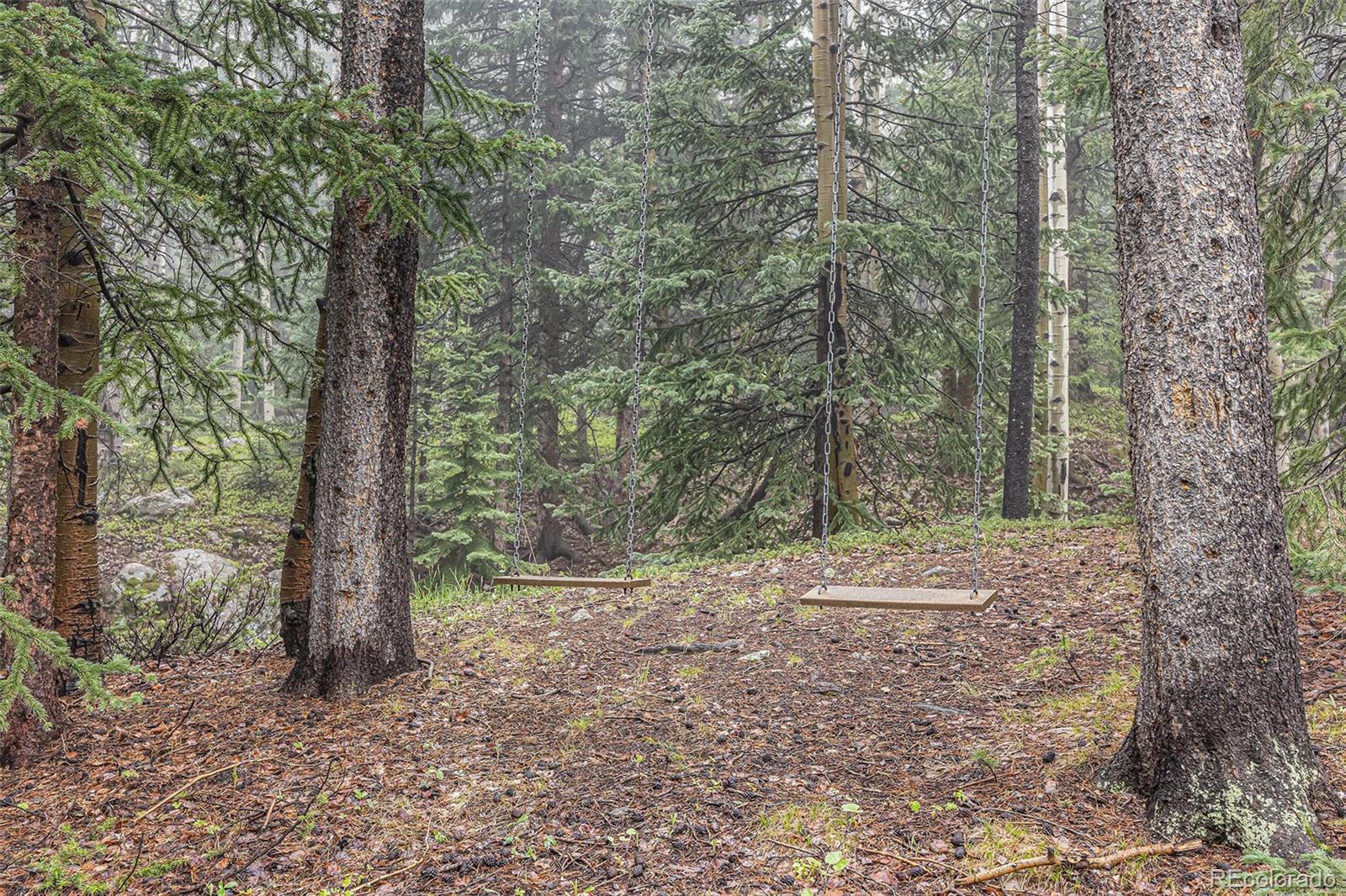 MLS Image #40 for 10419  christopher drive,conifer, Colorado